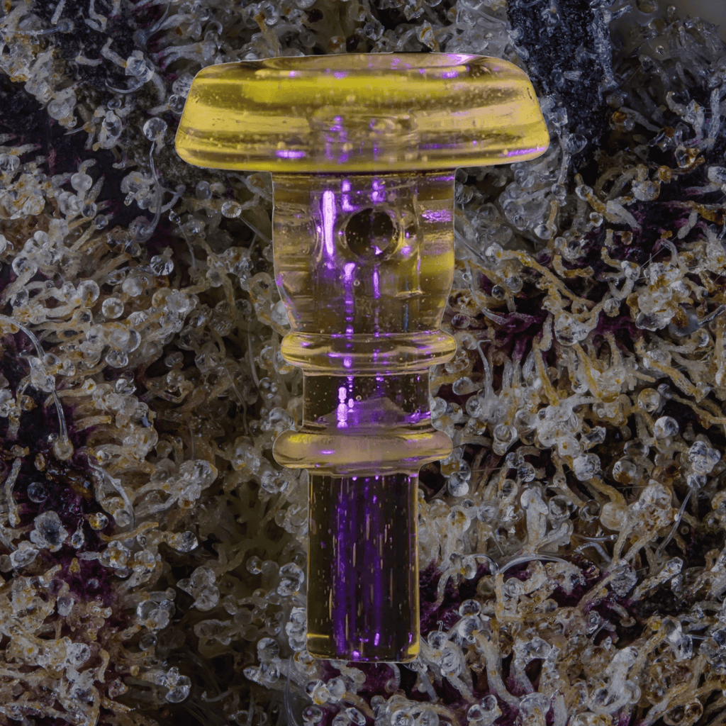 Puffco Peak Pro 3DXL Joystick Caps Pink UV | Trichly