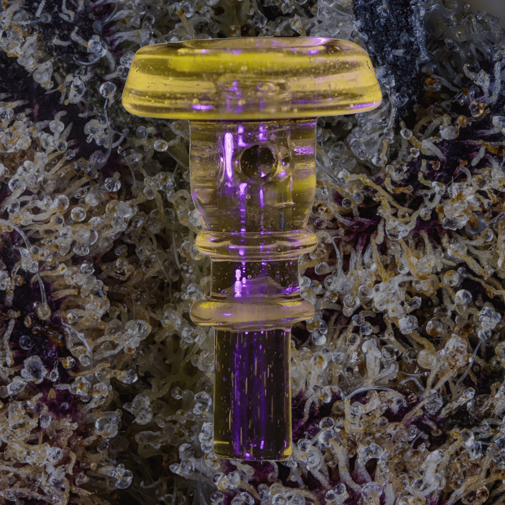 Puffco Peak Pro 3DXL Joystick Caps Pink UV | Trichly