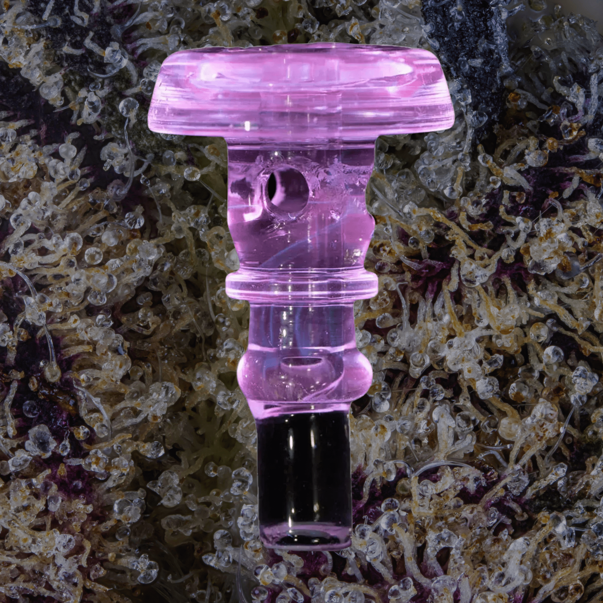 Puffco Peak Pro 3DXL Joystick Caps Pink UV | Trichly