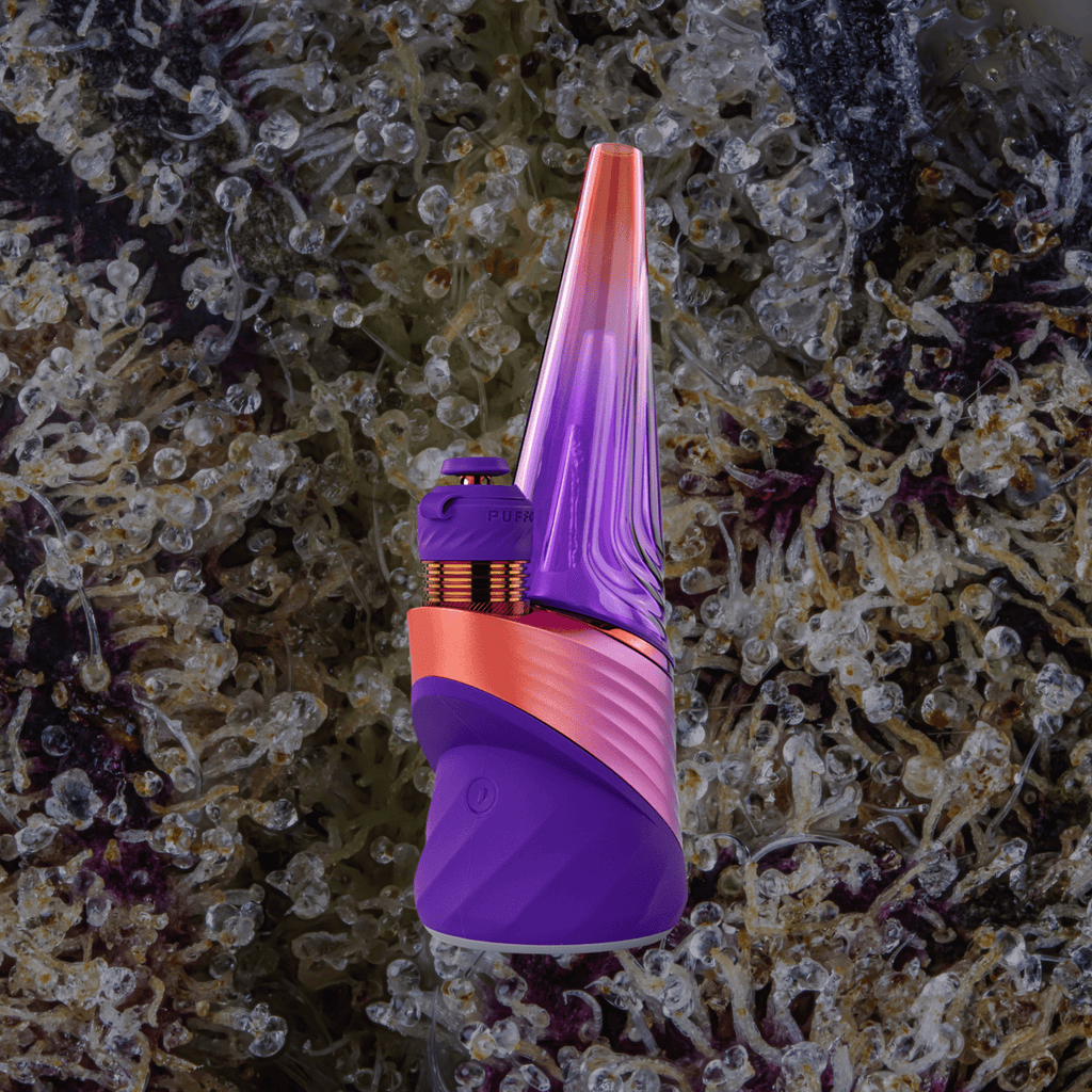 Puffco Peak Pro 3DXL Plasma | Trichly