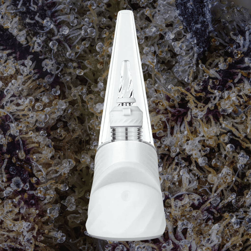 Puffco Peak Pro 3DXL White | Trichly