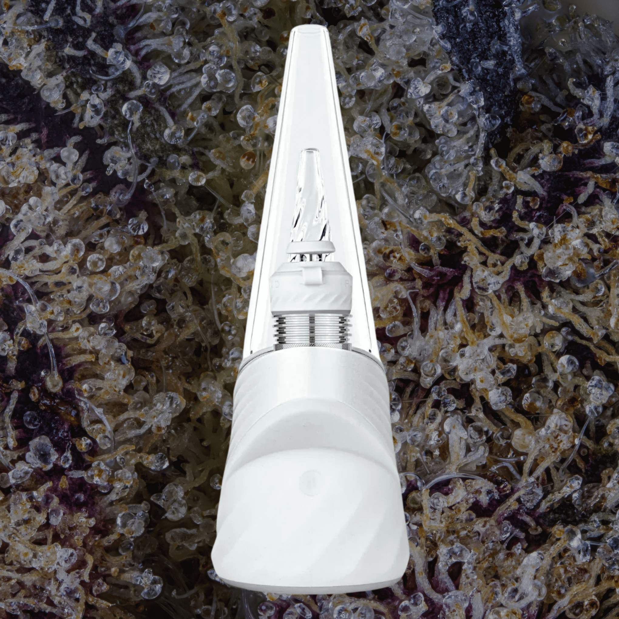 Puffco Peak Pro 3DXL White | Trichly