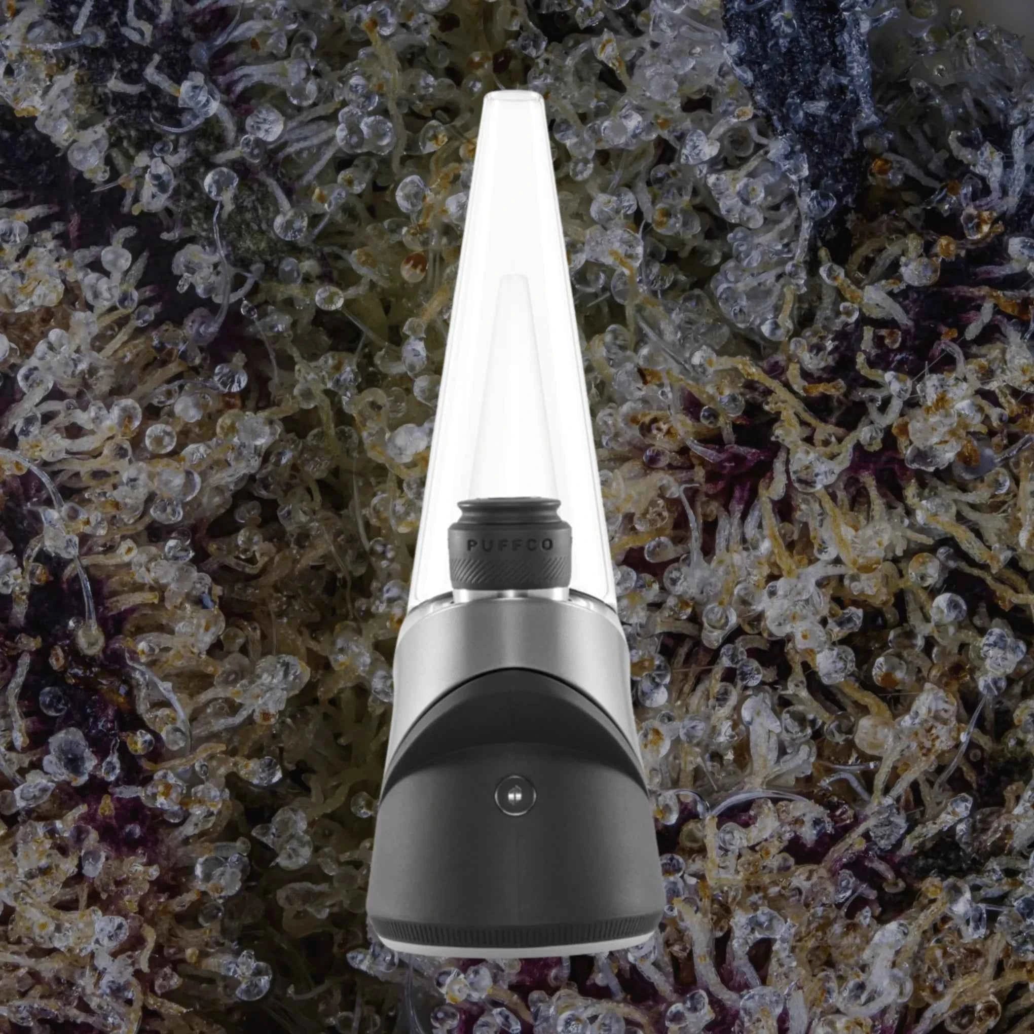 Puffco Peak Pro Black | Trichly