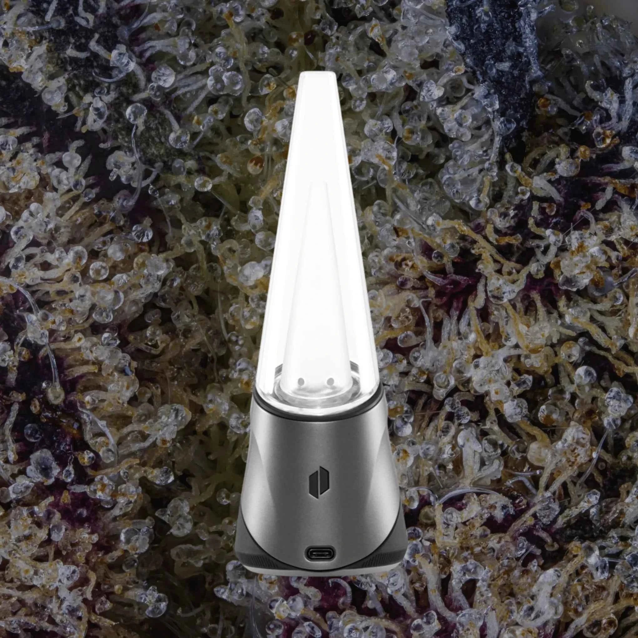 Puffco Peak Pro Black | Trichly