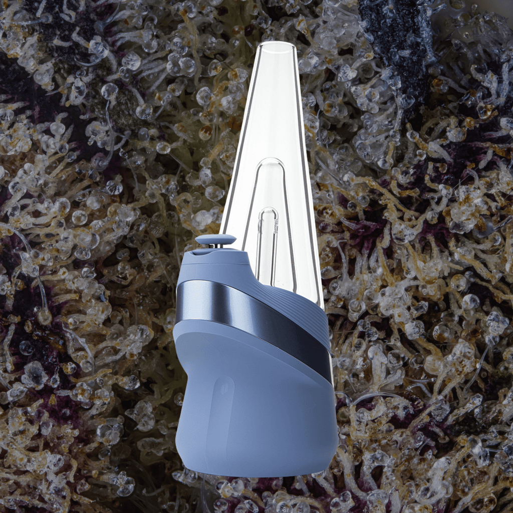 Puffco Peak Sapphire | Trichly