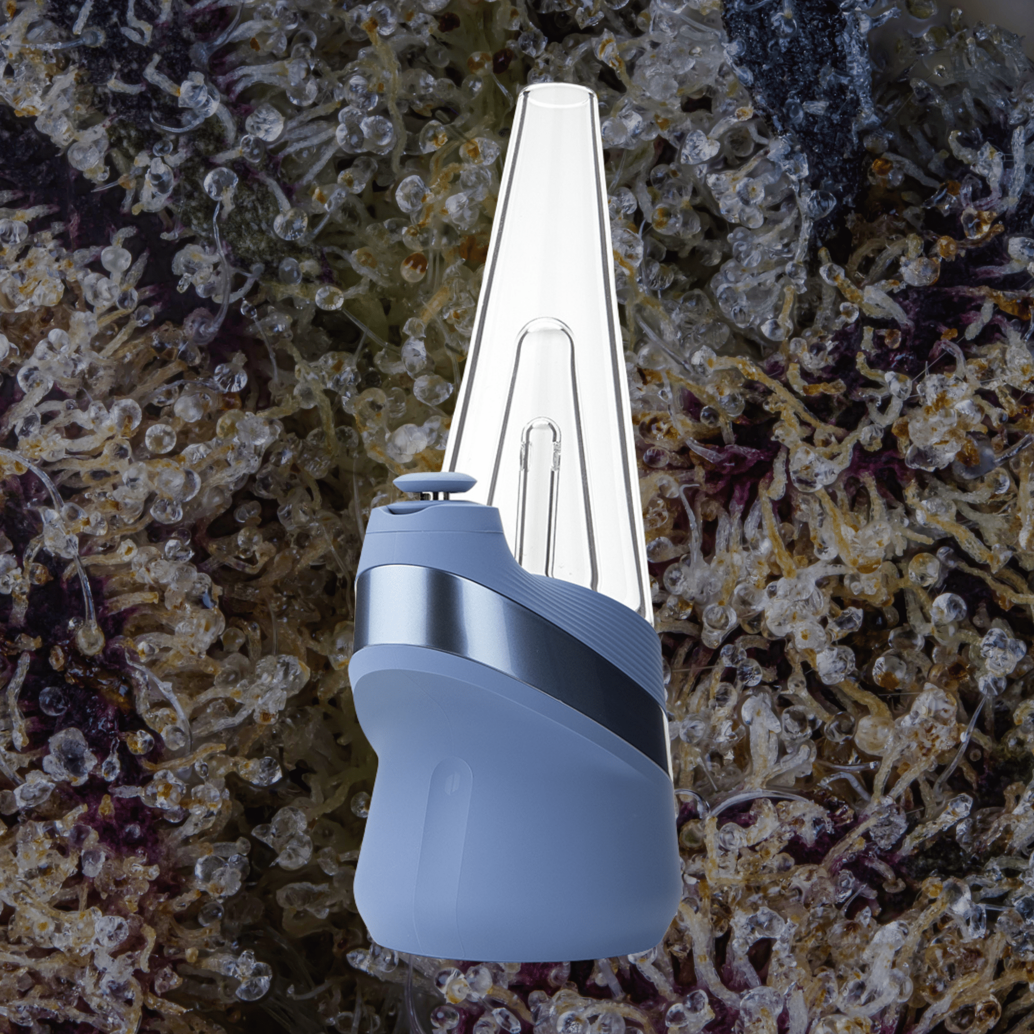Puffco Peak Sapphire | Trichly