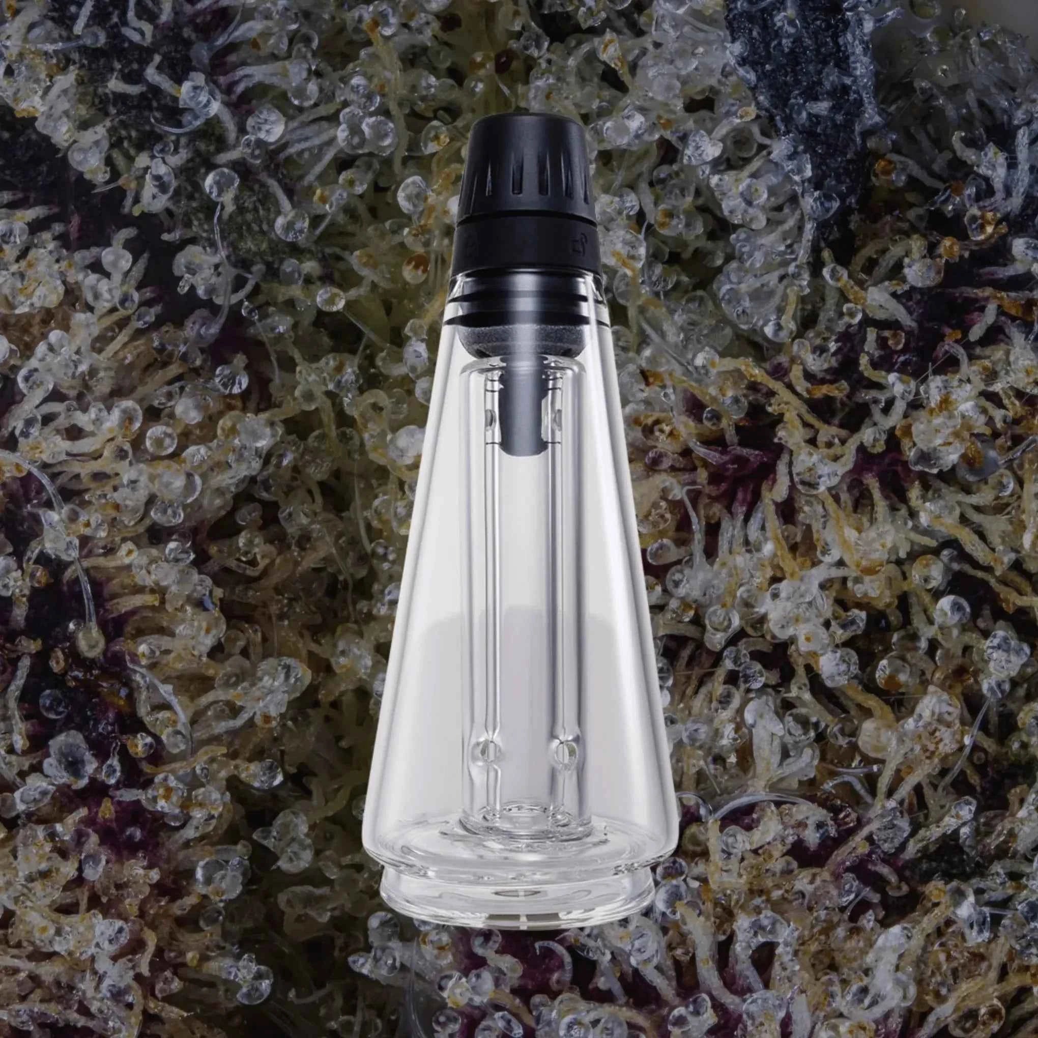 Puffco Peak Travel Glass Clear | Trichly