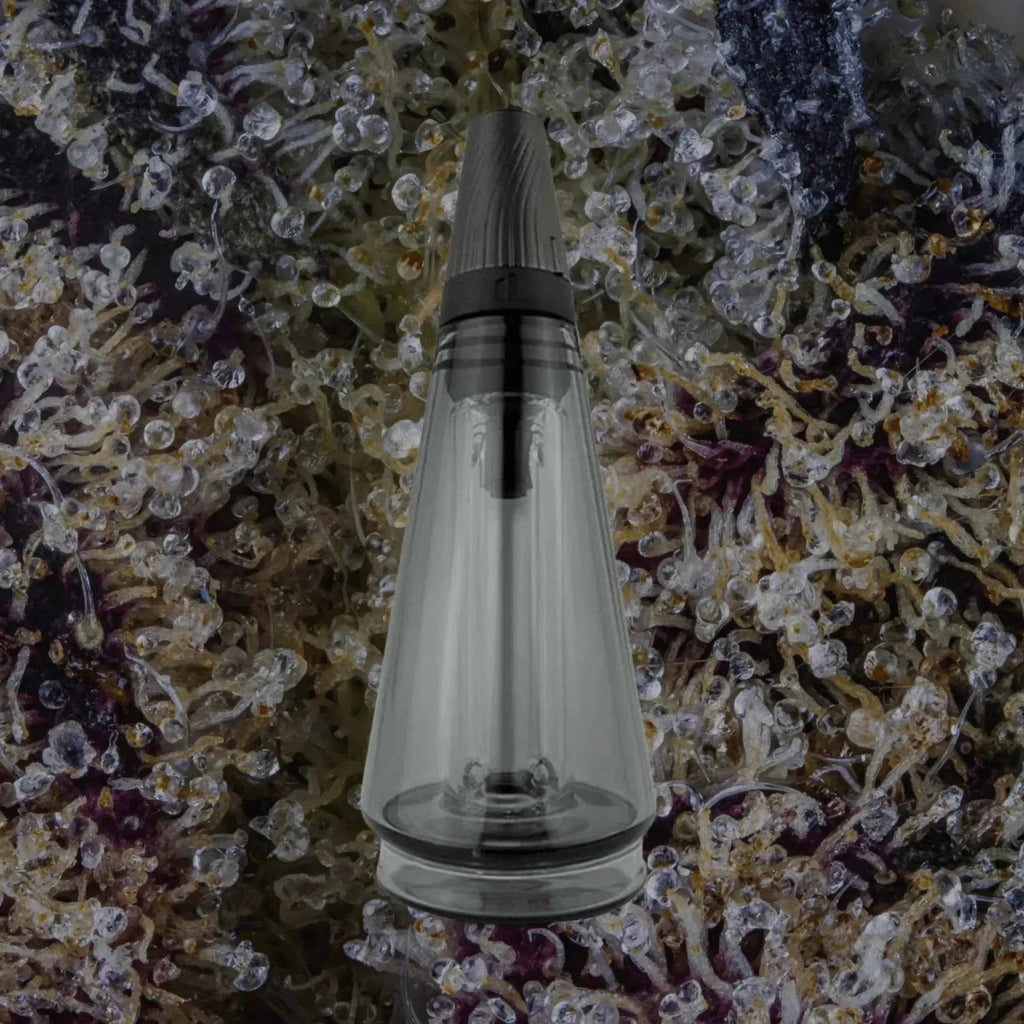 Puffco Peak Travel Glass Shadow Black | Trichly