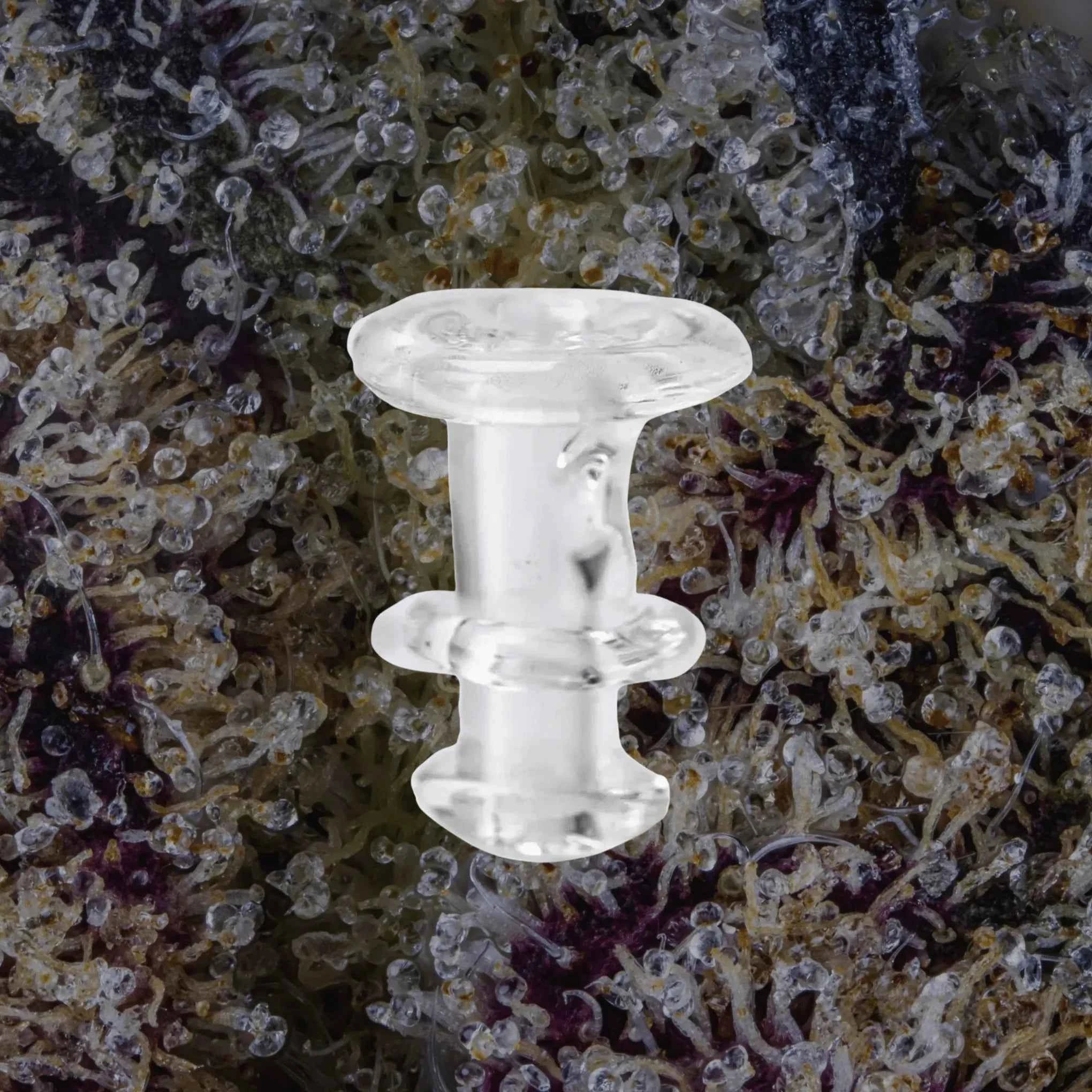 Puffco Peak/Proxy Joystick Caps Clear | Trichly