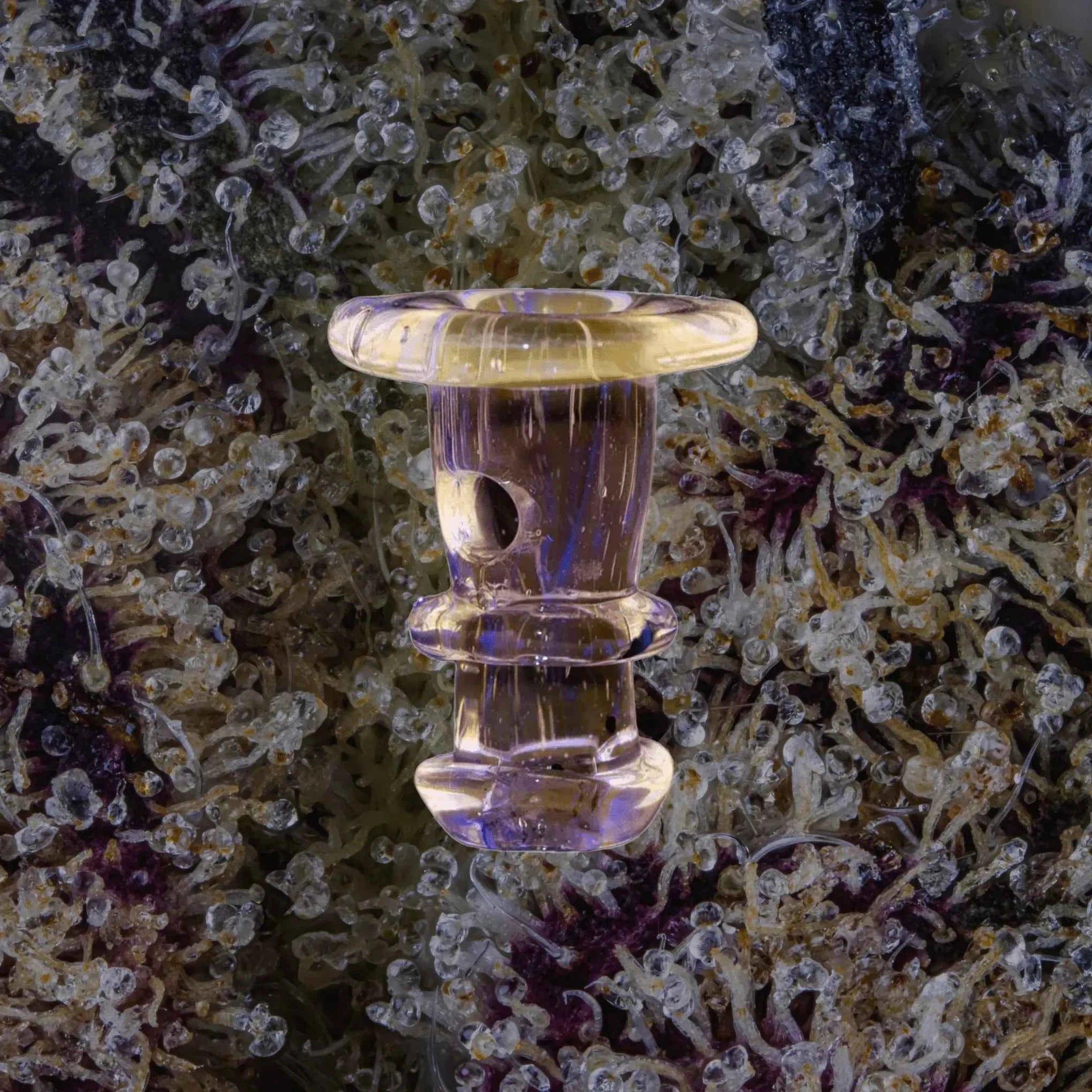 Puffco Peak/Proxy Joystick Caps Eclipse | Trichly