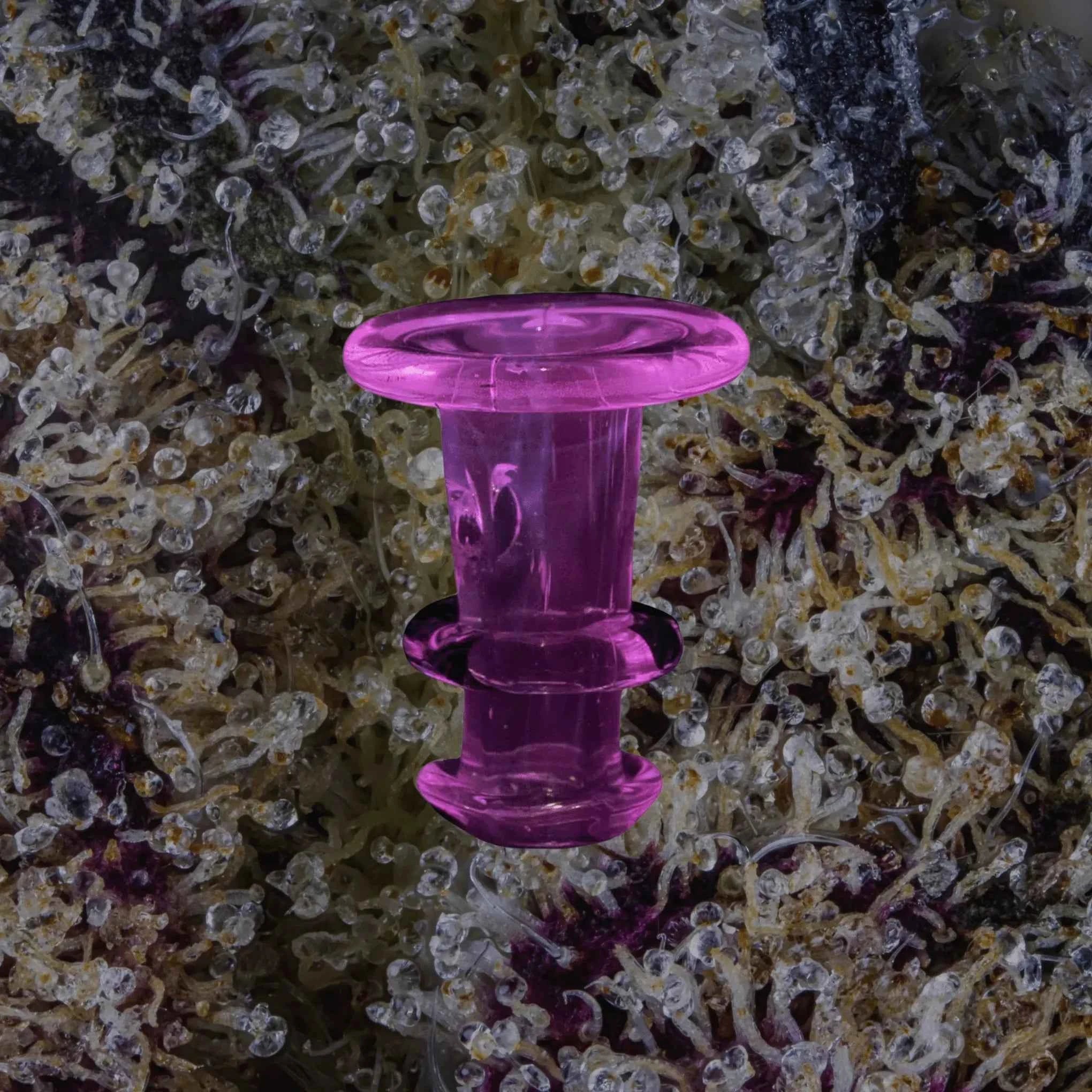 Puffco Peak/Proxy Joystick Caps Pink UV | Trichly