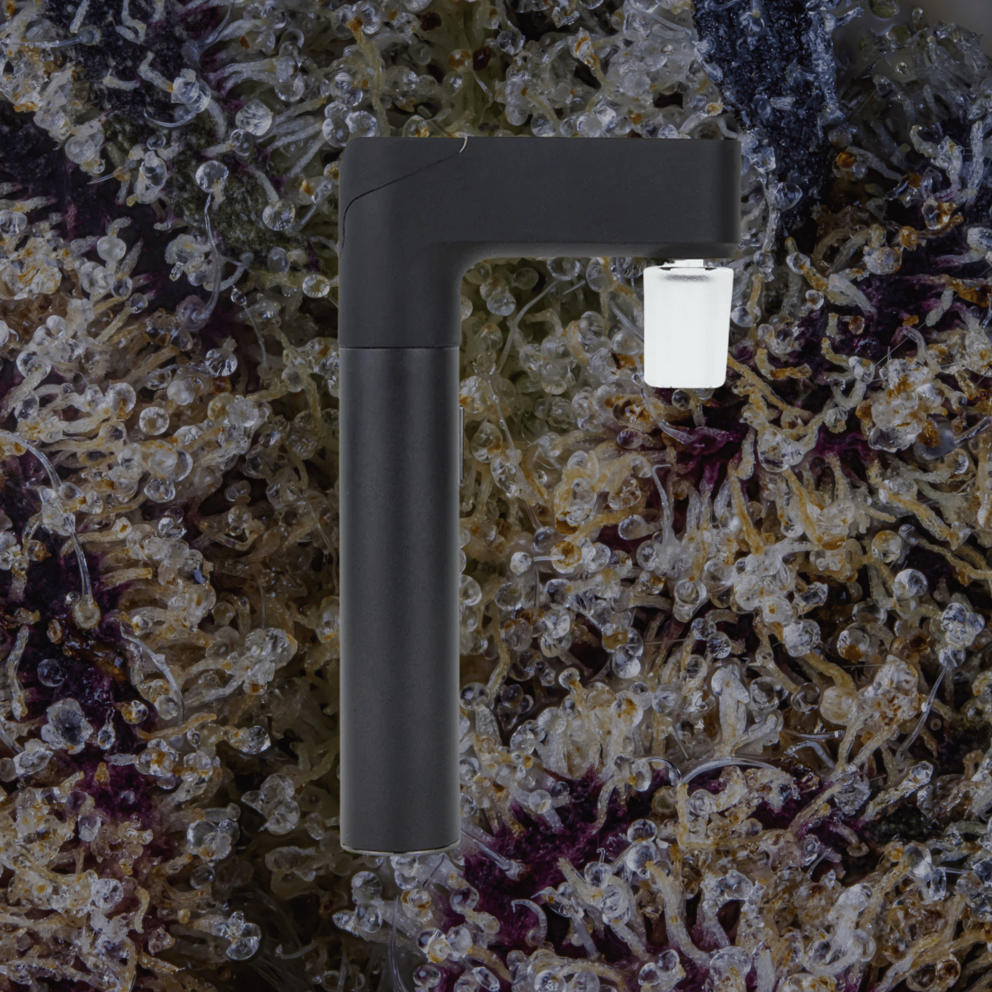 Puffco Pivot Glass Adapter | Trichly