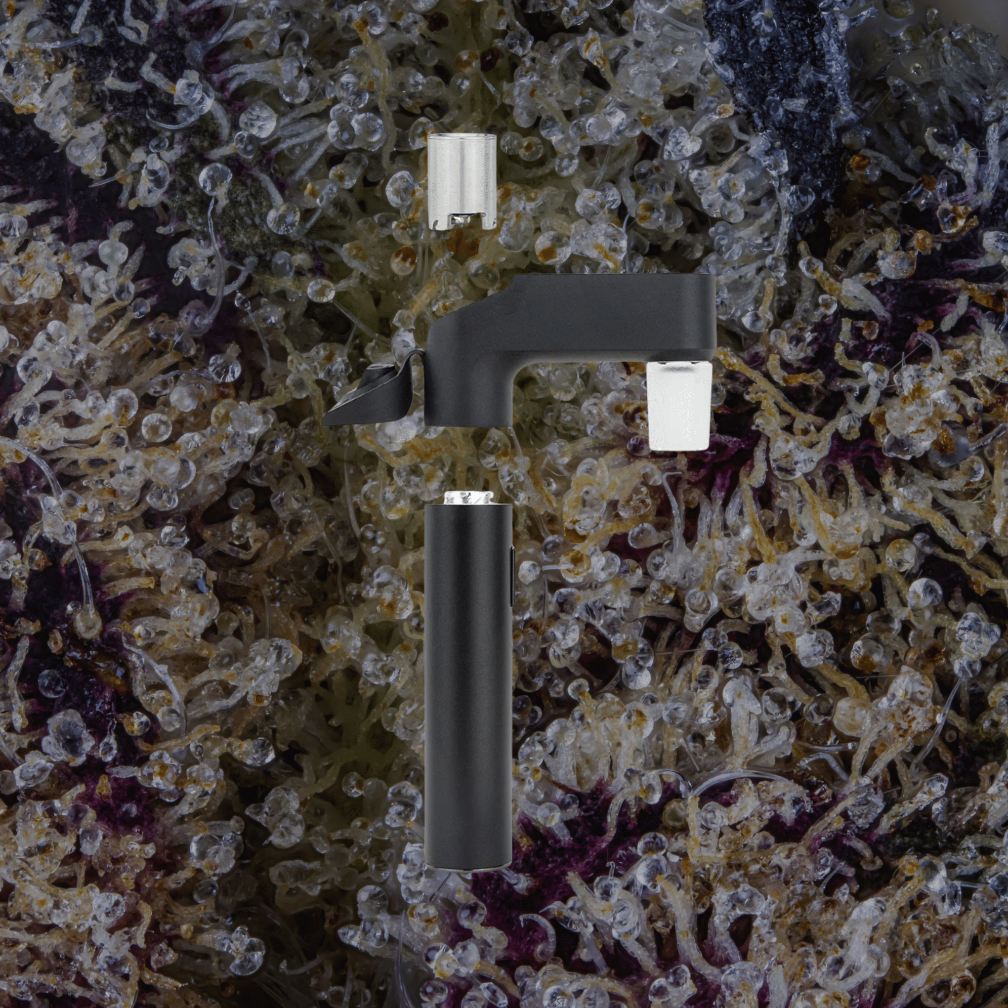 Puffco Pivot Glass Adapter | Trichly