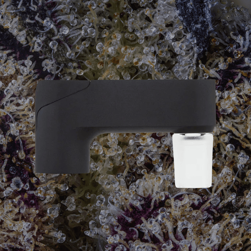 Puffco Pivot Glass Adapter | Trichly