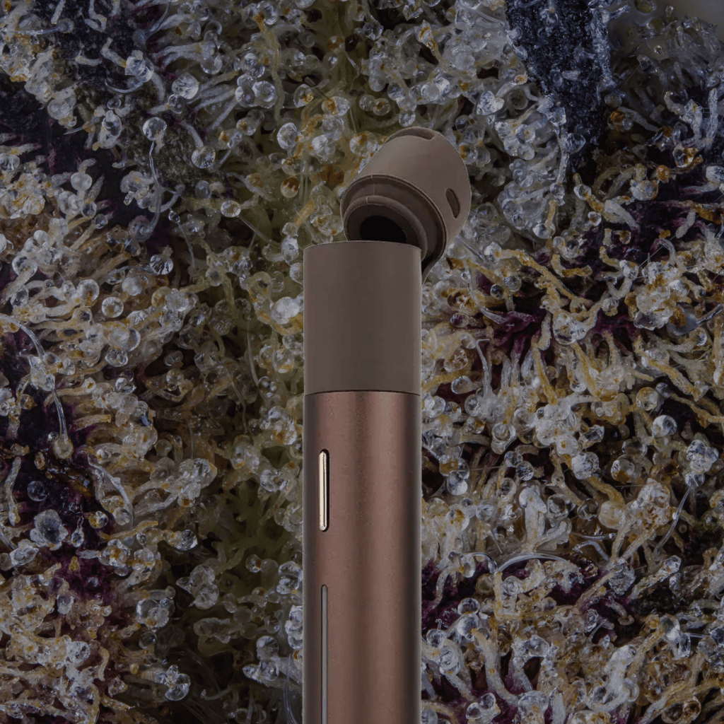 Puffco Pivot Mocha | Trichly