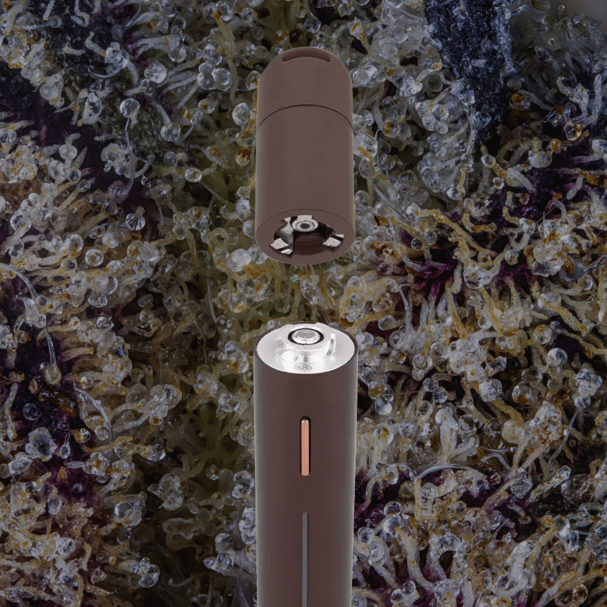 Puffco Pivot Mocha | Trichly