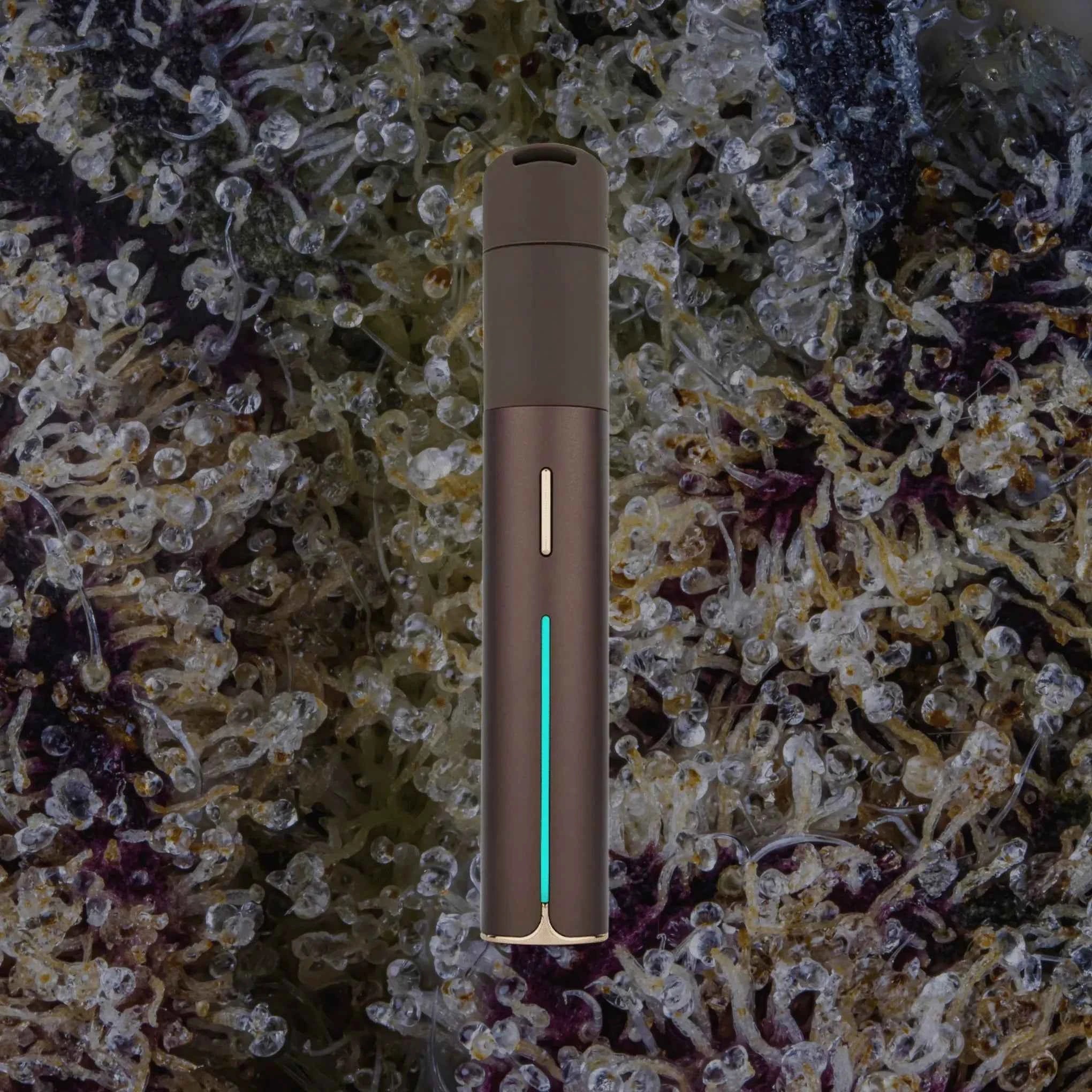 Puffco Pivot Mocha | Trichly