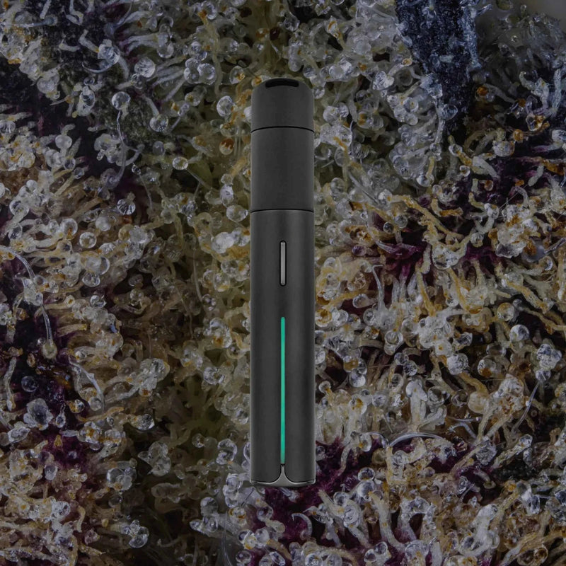 Puffco Pivot Onyx | Trichly