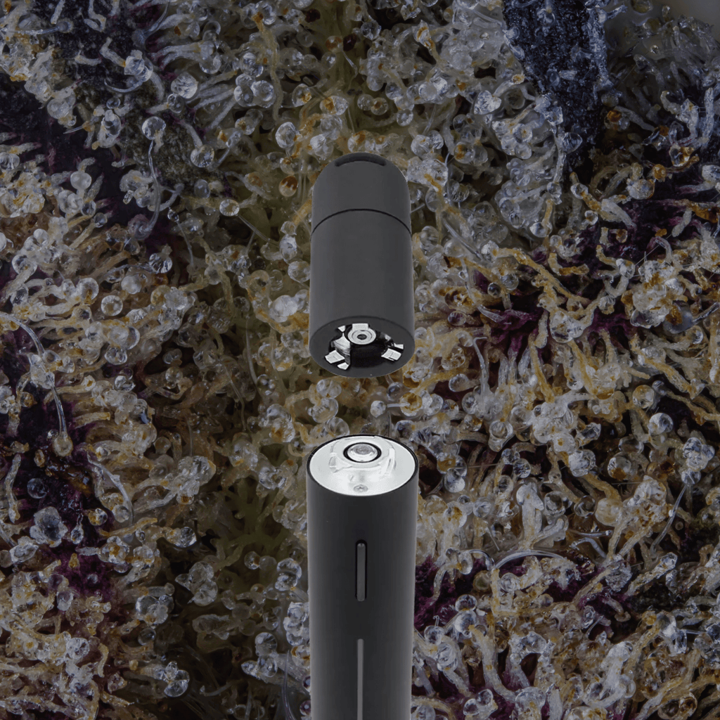 Puffco Pivot Onyx | Trichly