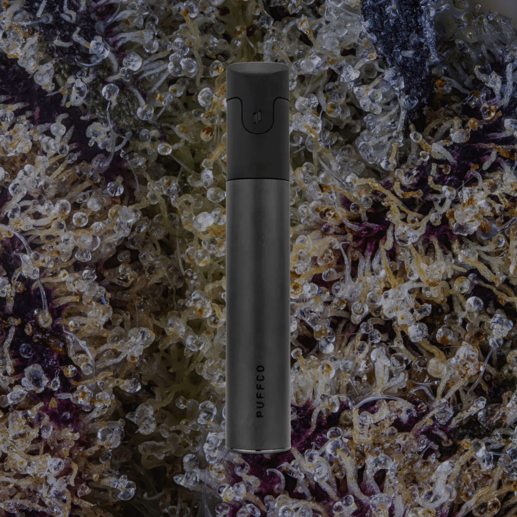 Puffco Pivot Onyx | Trichly