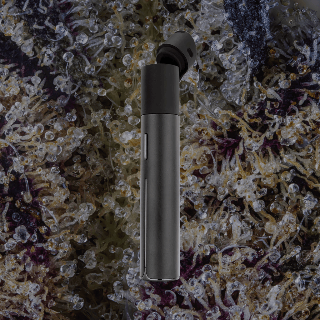 Puffco Pivot Onyx | Trichly