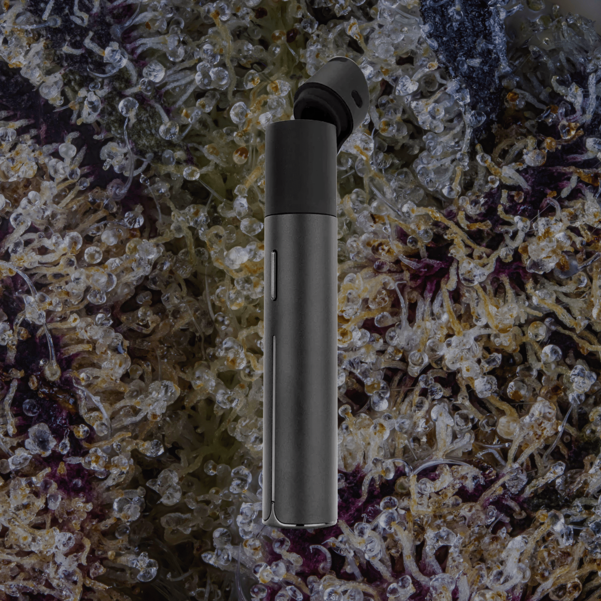 Puffco Pivot Onyx | Trichly
