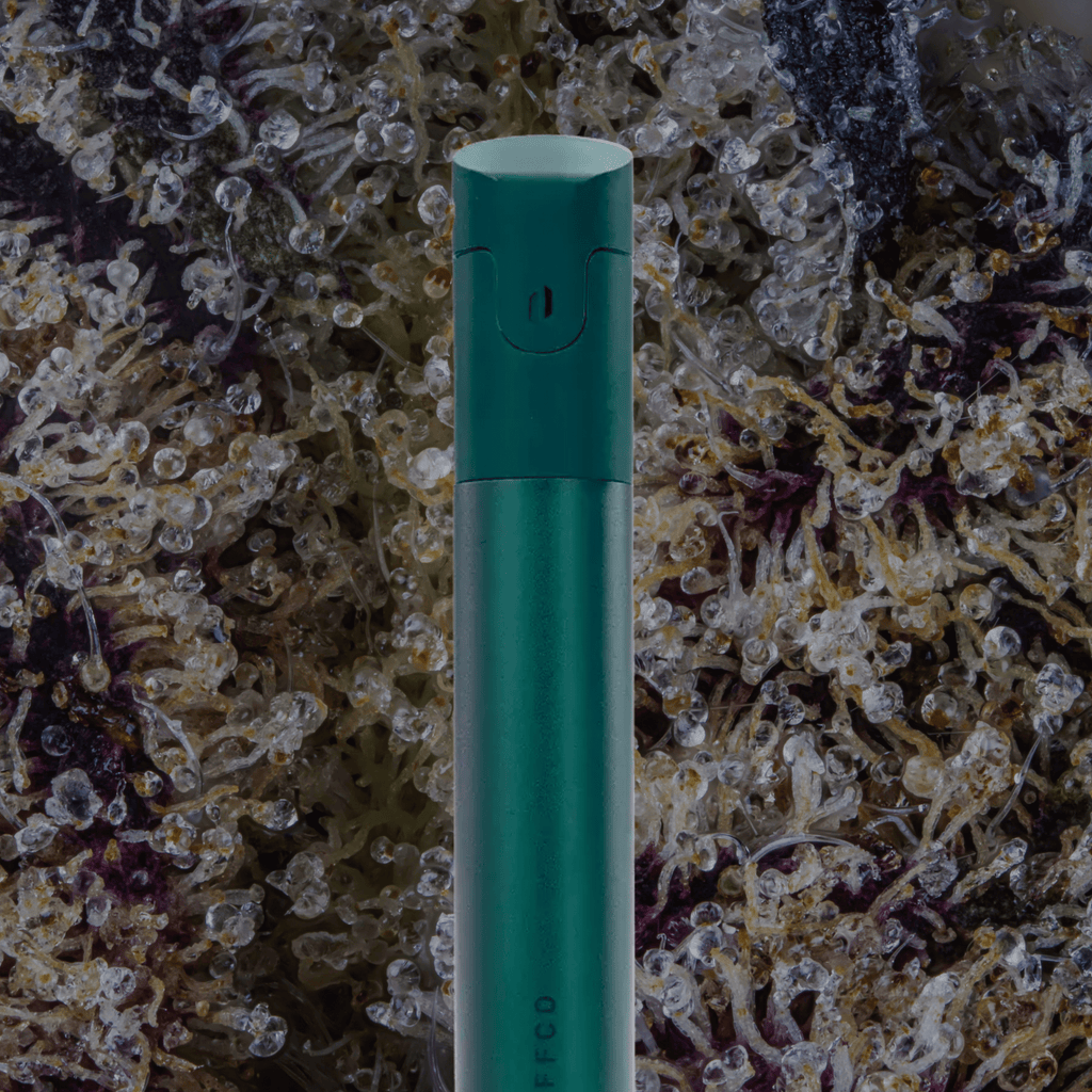 Puffco Pivot Pine | Trichly