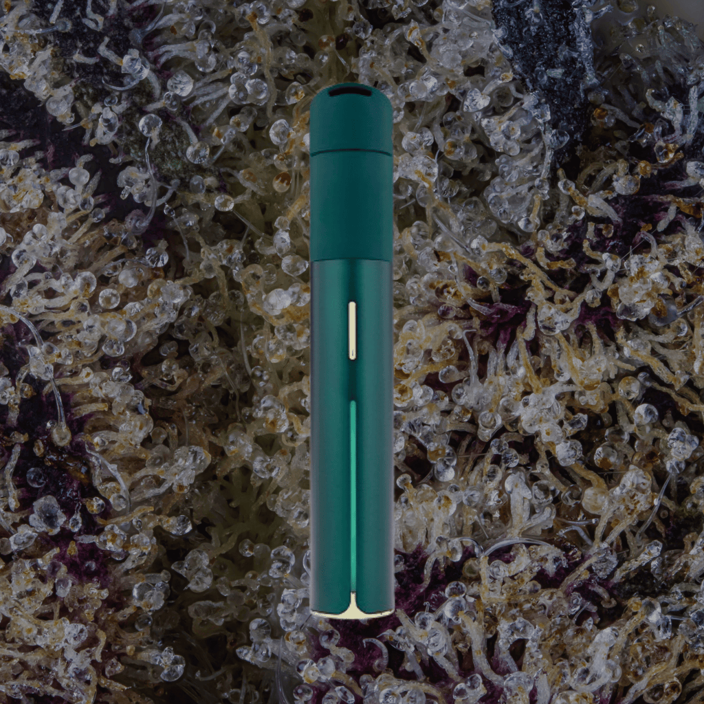 Puffco Pivot Pine | Trichly