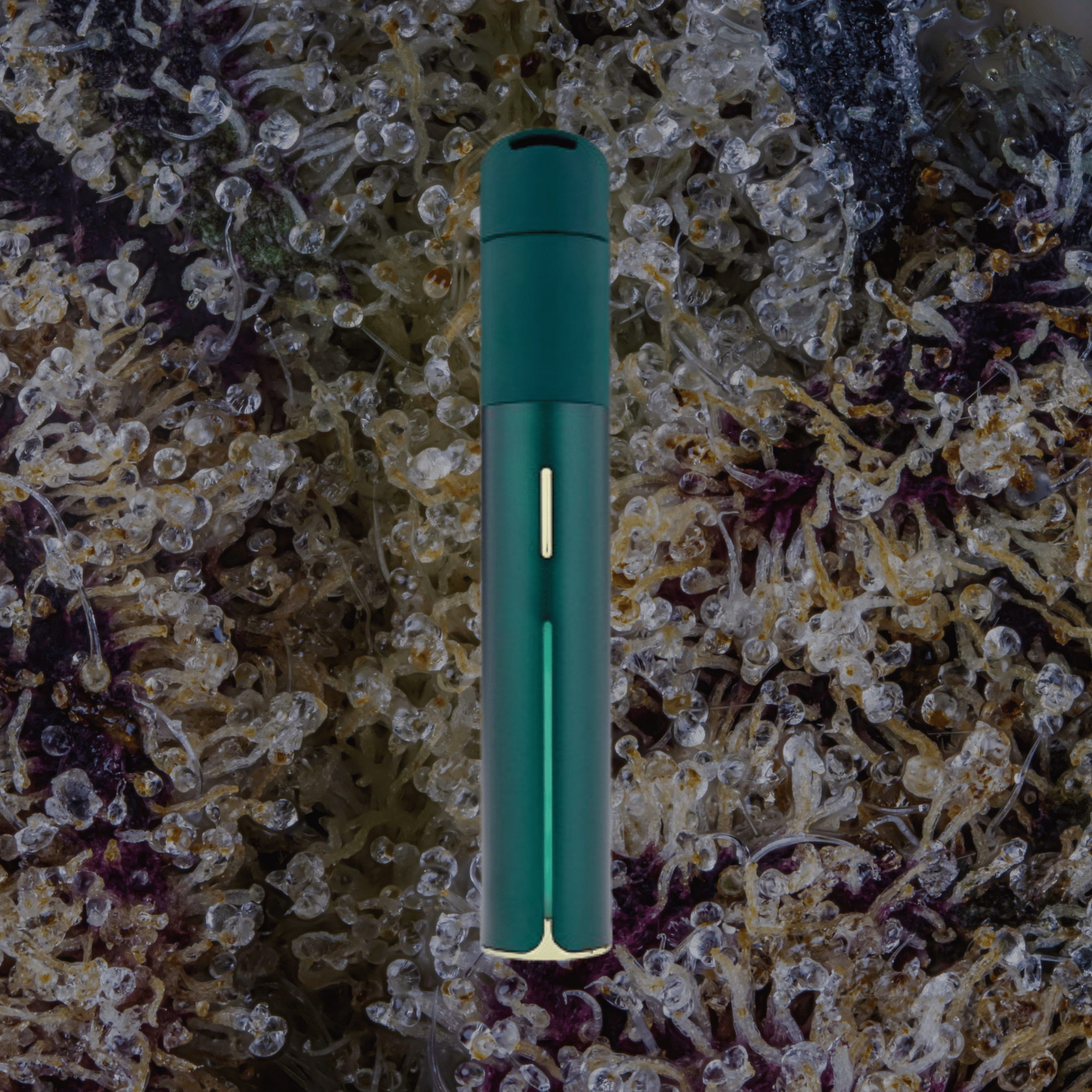 Puffco Pivot Pine | Trichly