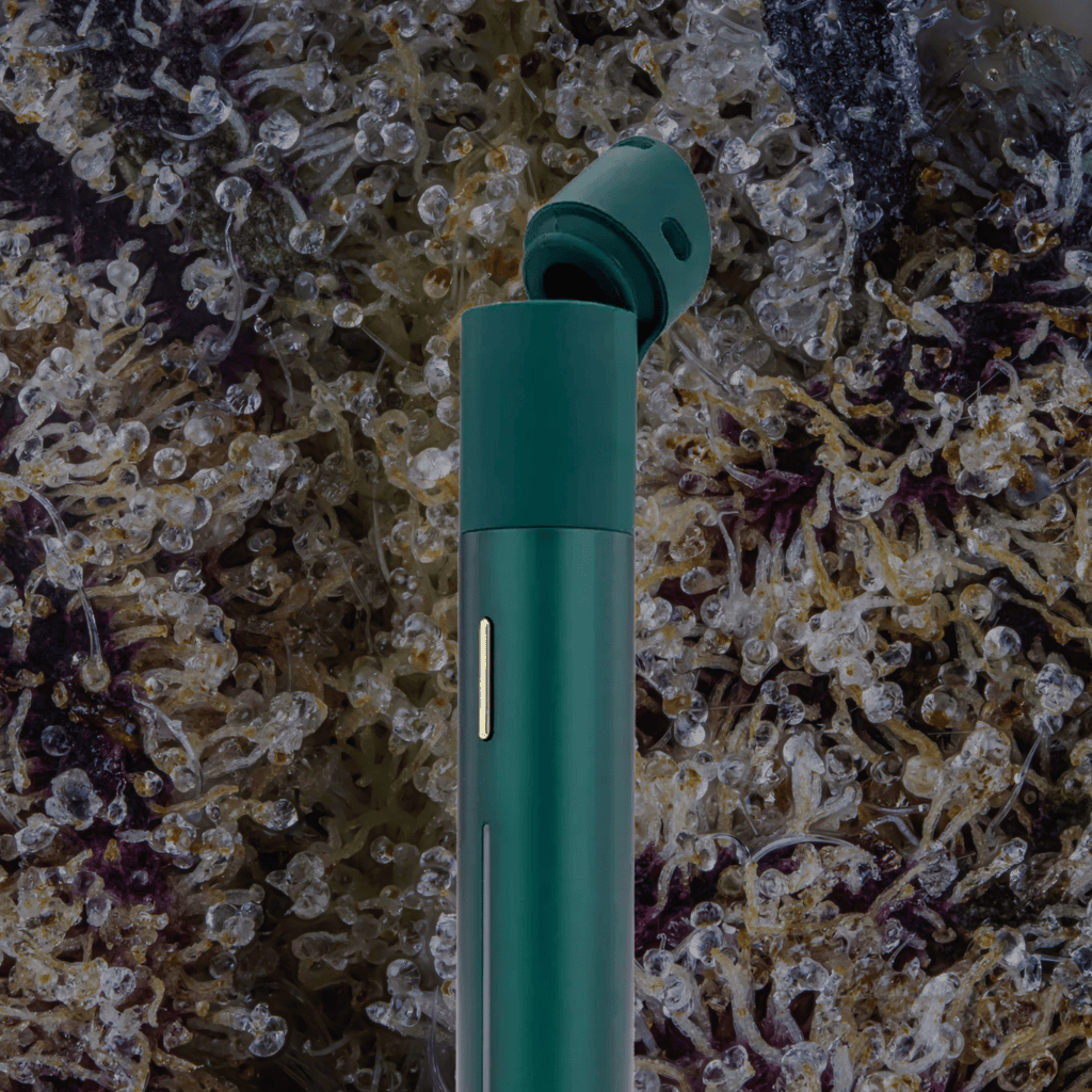 Puffco Pivot Pine | Trichly