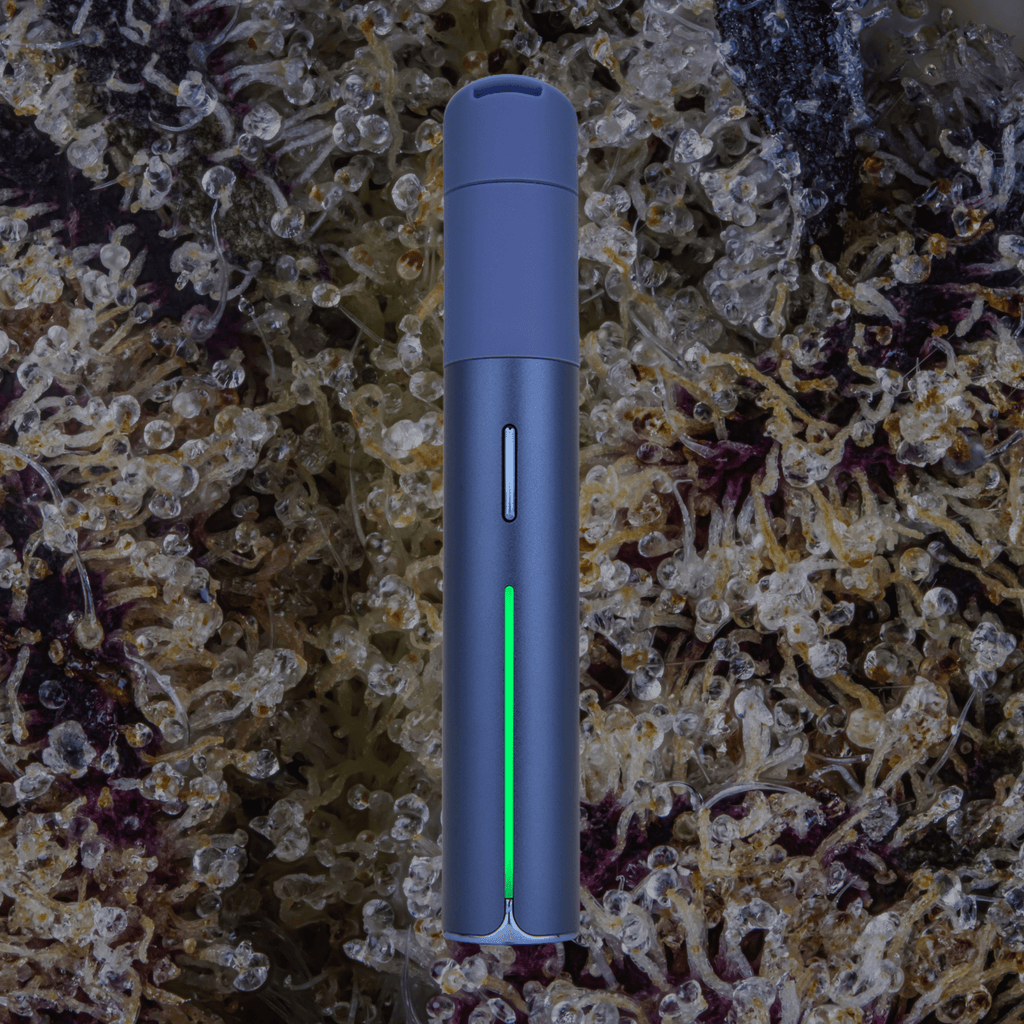 Puffco Pivot Sapphire | Trichly