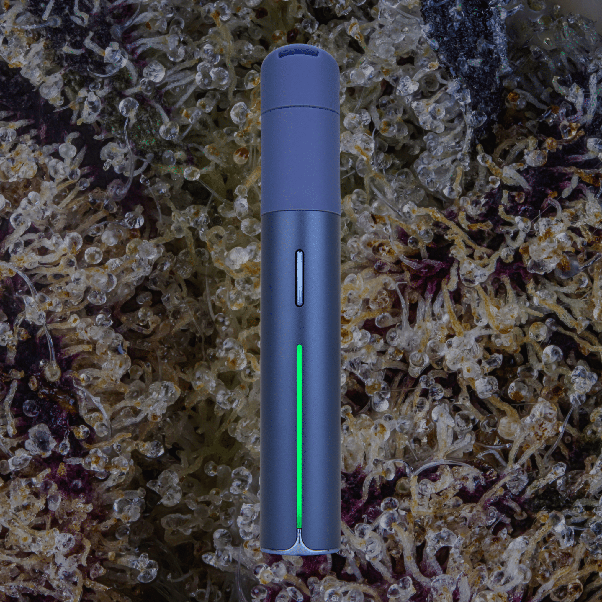 Puffco Pivot Sapphire | Trichly