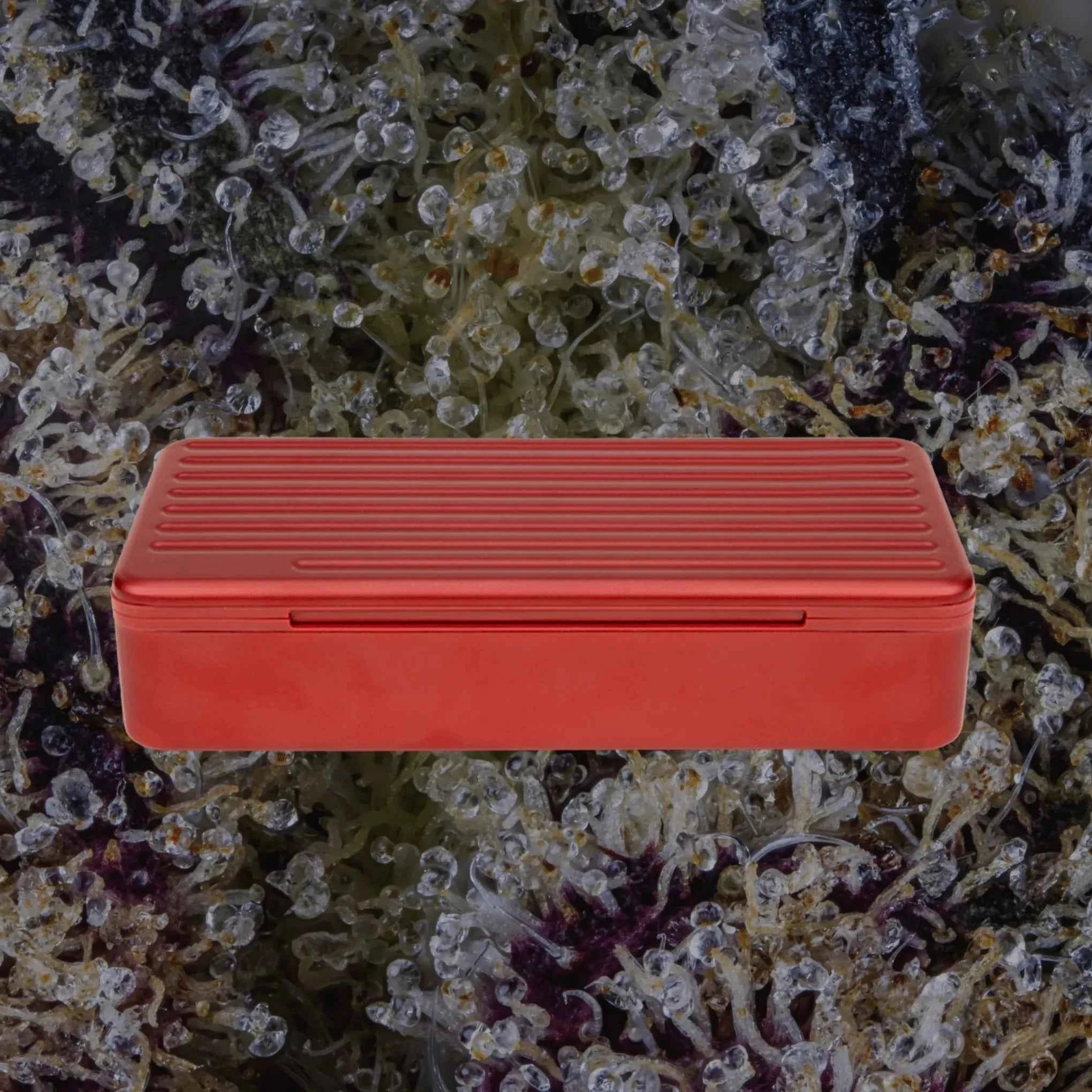 Puffco Pivot Travel Case Daybreak | Trichly