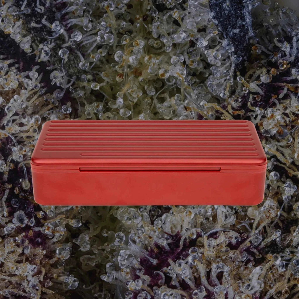 Puffco Pivot Travel Case Daybreak | Trichly