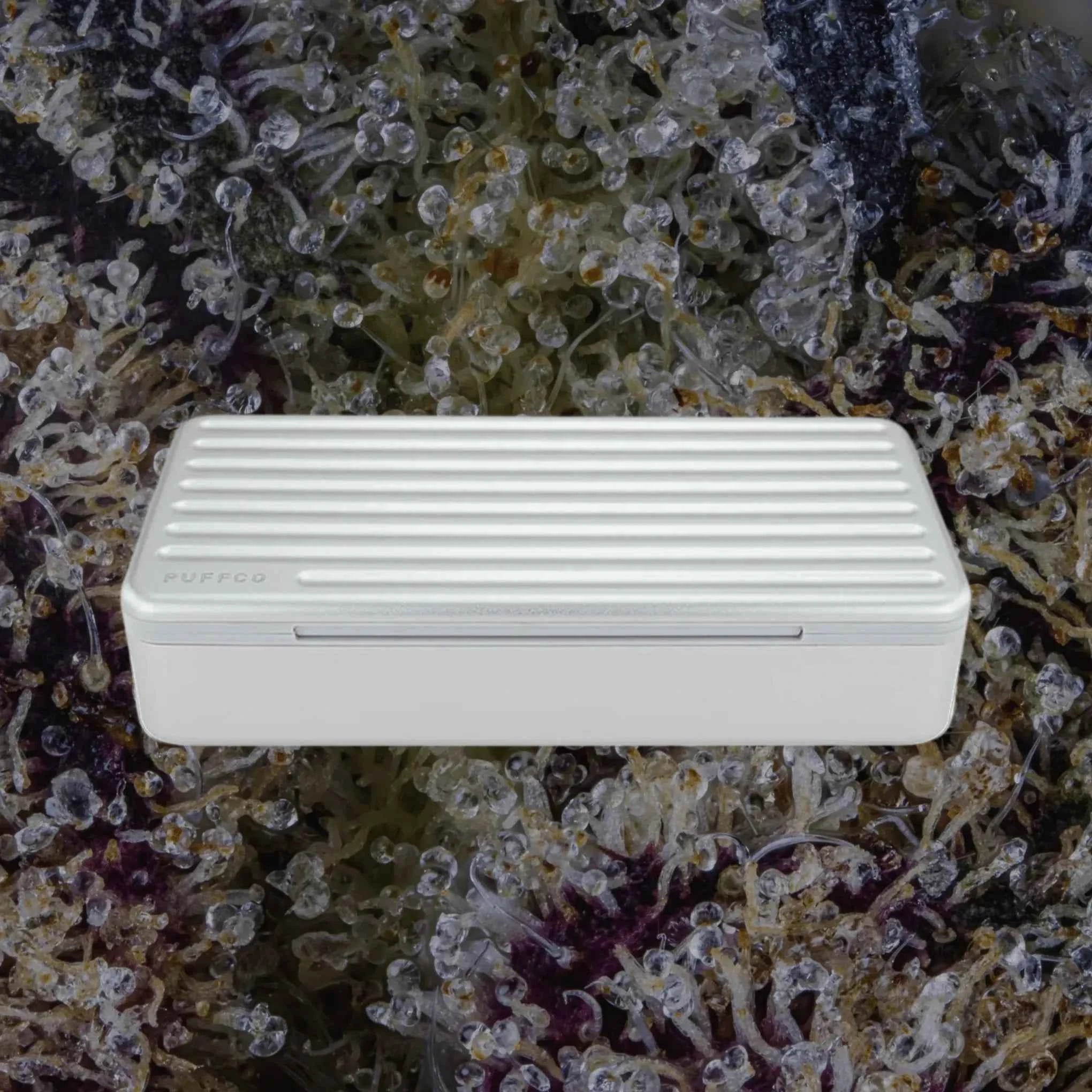 Puffco Pivot Travel Case Pearl | Trichly