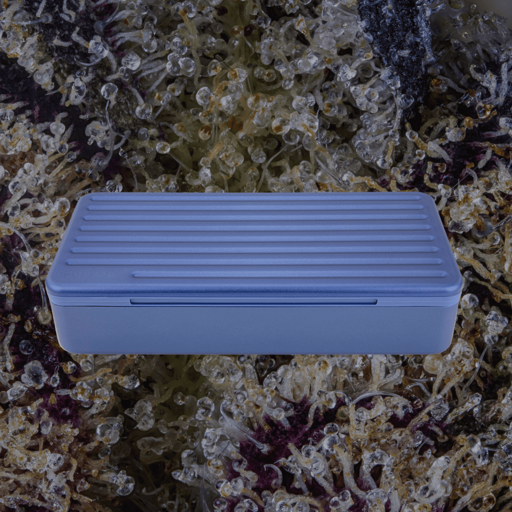 Puffco Pivot Travel Case Sapphire | Trichly