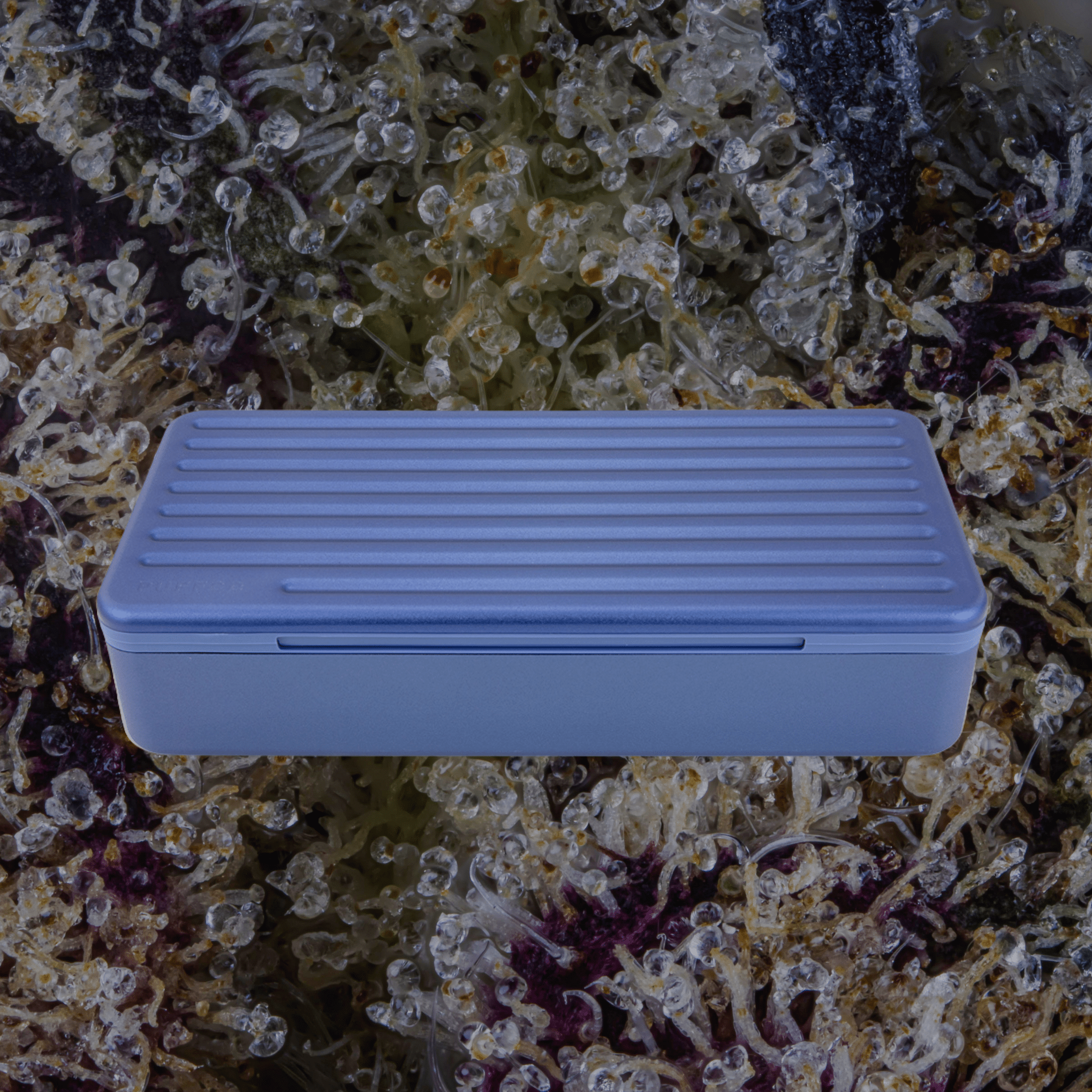 Puffco Pivot Travel Case Sapphire | Trichly