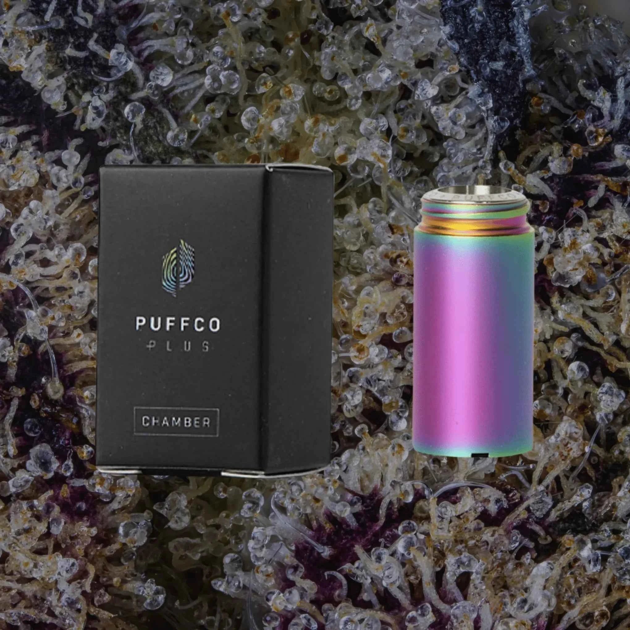 Puffco Plus Chamber | Trichly