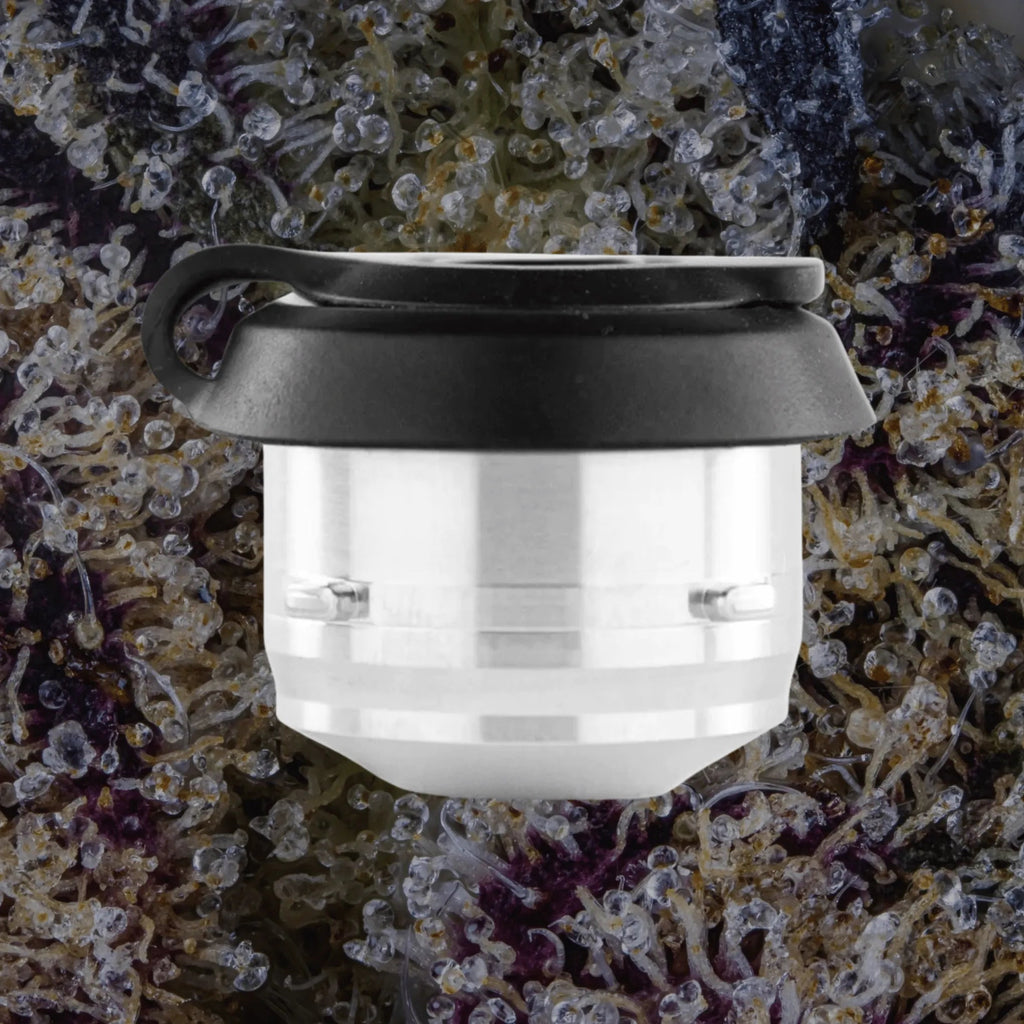 Puffco Proxy 3D Chamber | Trichly