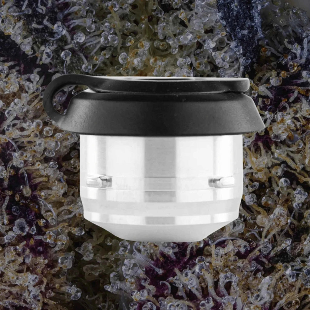 Puffco Proxy 3D Chamber | Trichly
