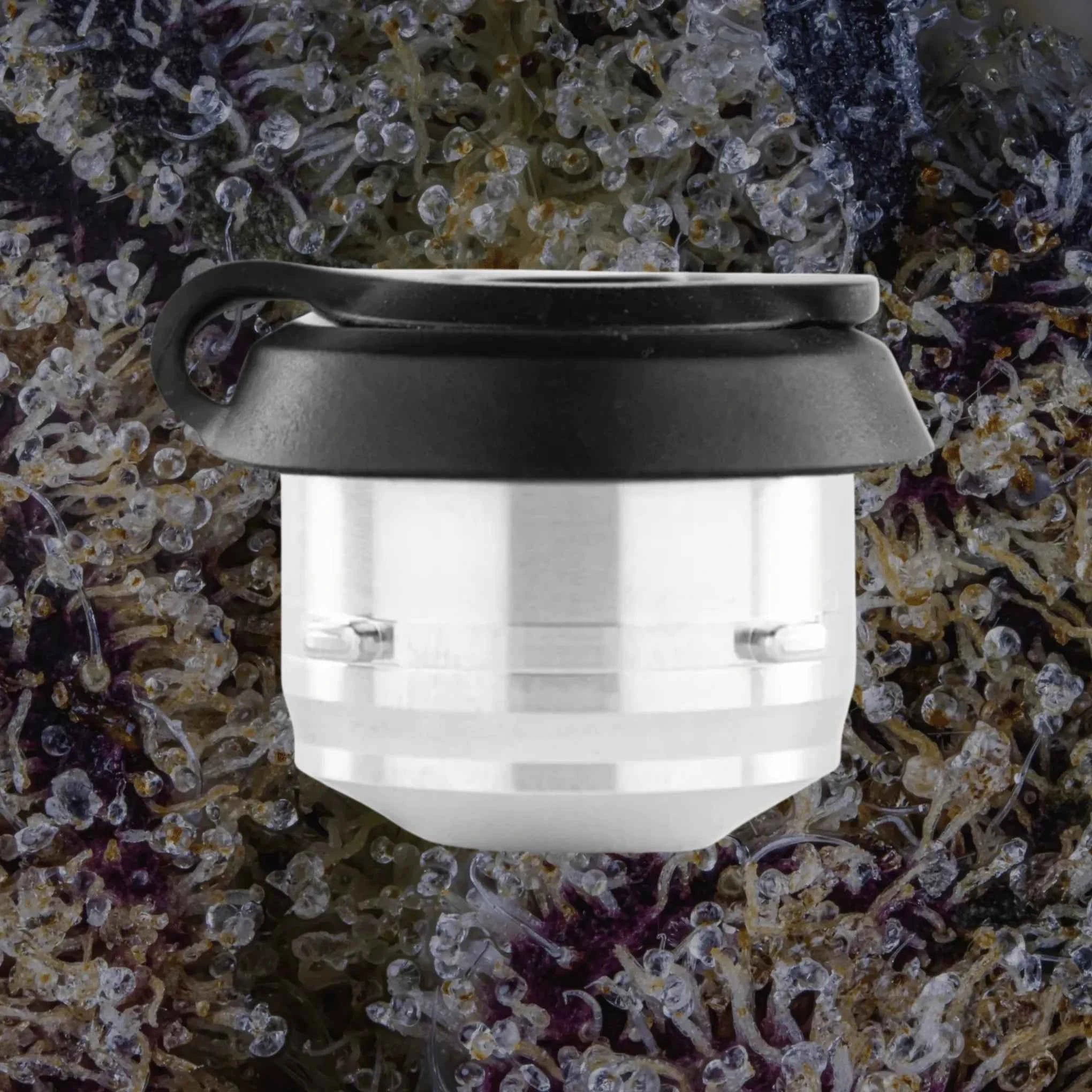 Puffco Proxy 3D Chamber | Trichly