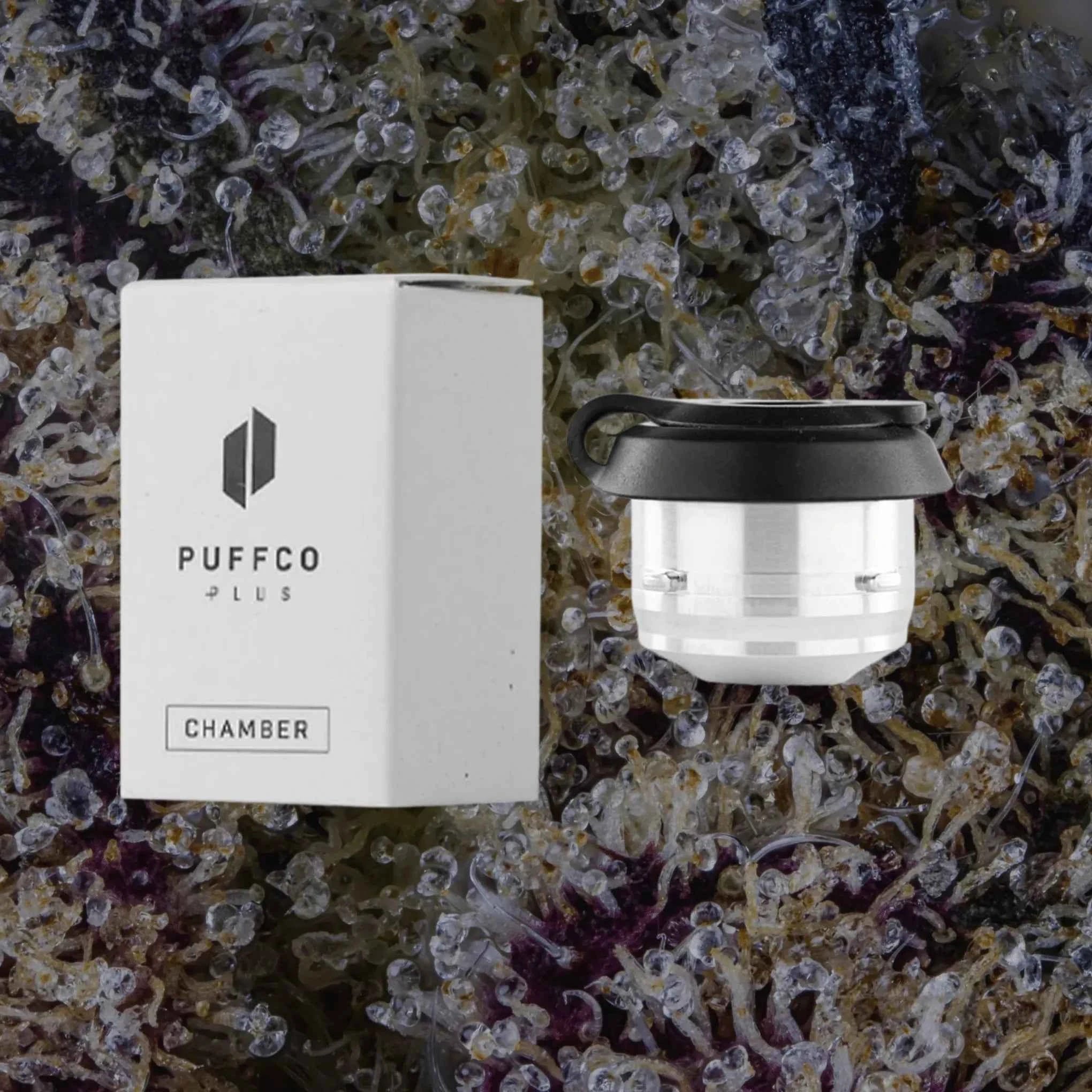 Puffco Proxy 3D Chamber | Trichly