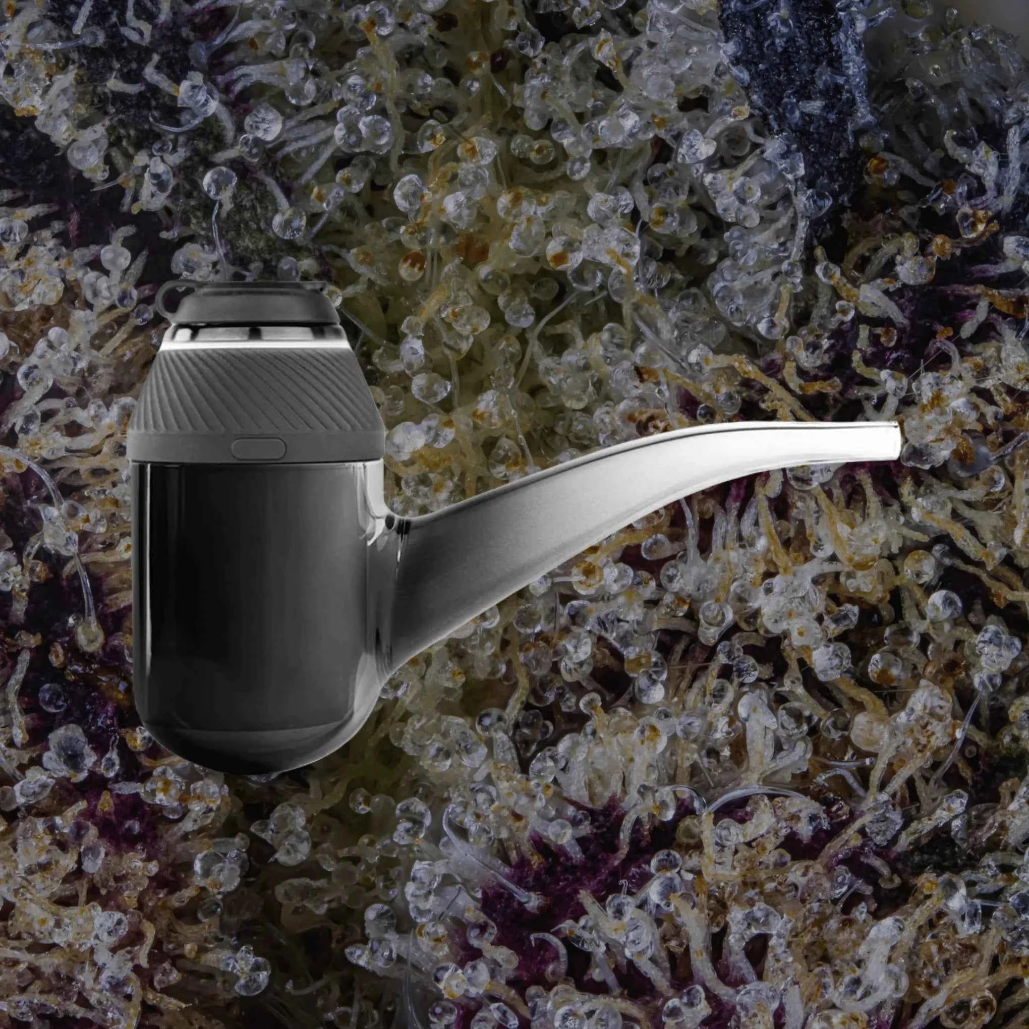 Puffco Proxy Black | Trichly