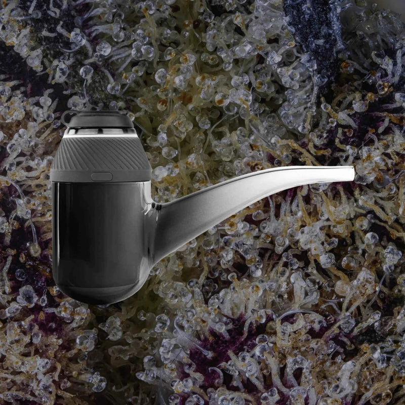 Puffco Proxy Black | Trichly