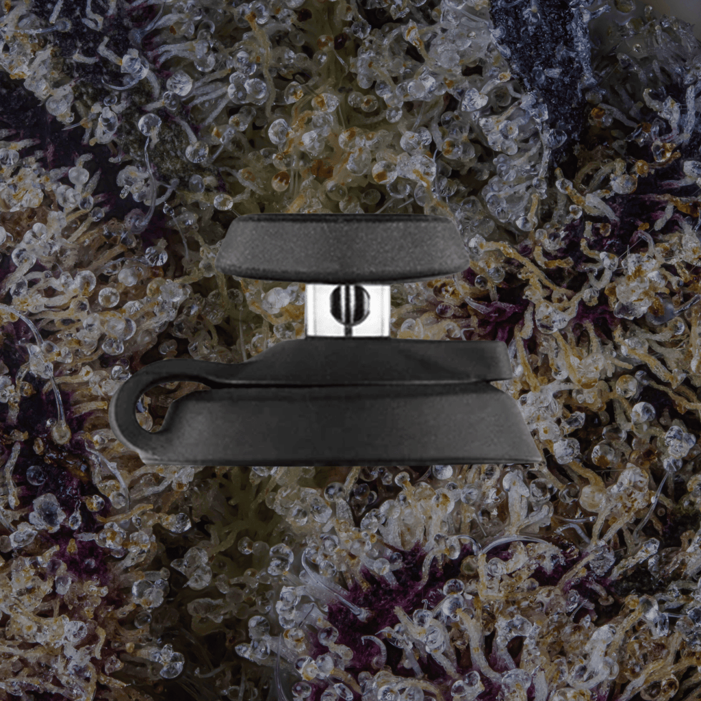 Puffco Proxy Carb Caps Black | Trichly
