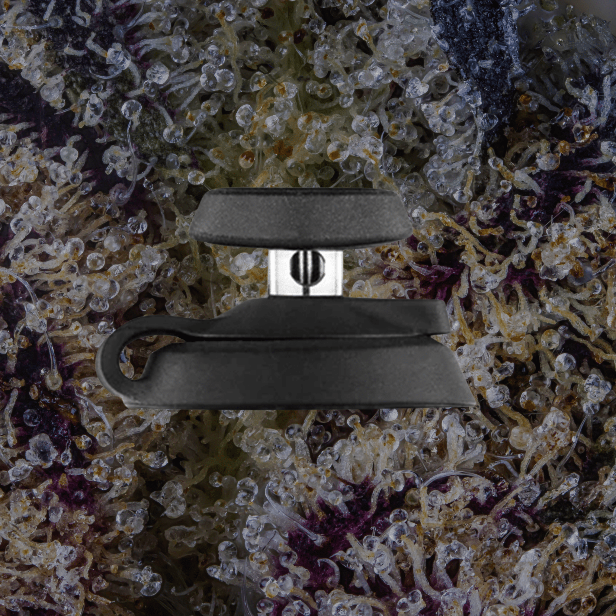 Puffco Proxy Carb Caps Black | Trichly