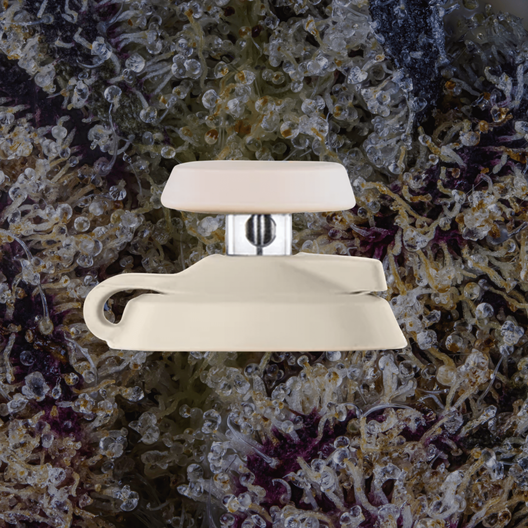 Puffco Proxy Carb Caps Desert | Trichly