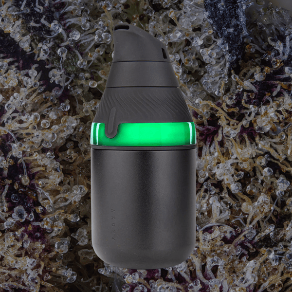 Puffco Proxy Core Kit | Trichly