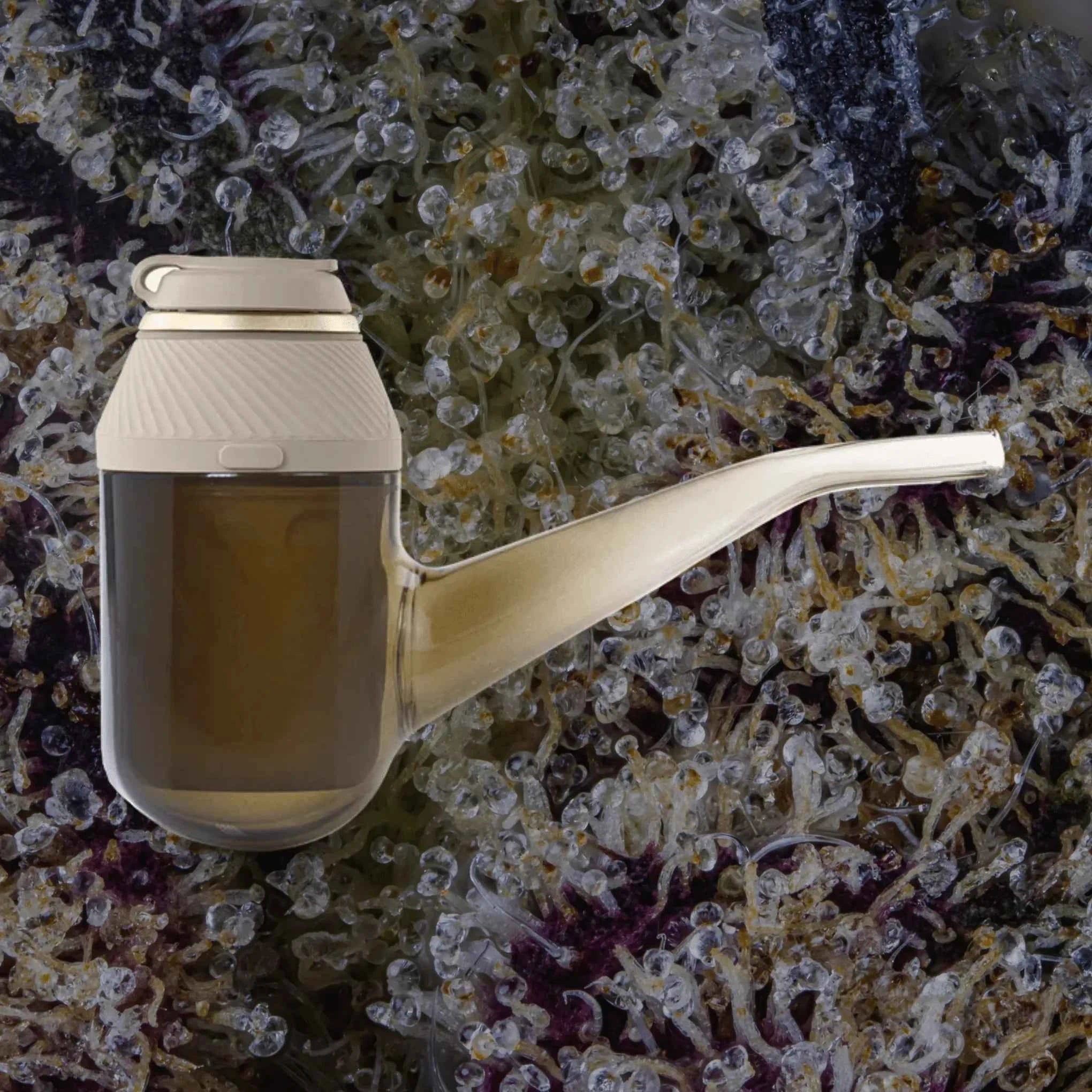 Puffco Proxy Desert | Trichly