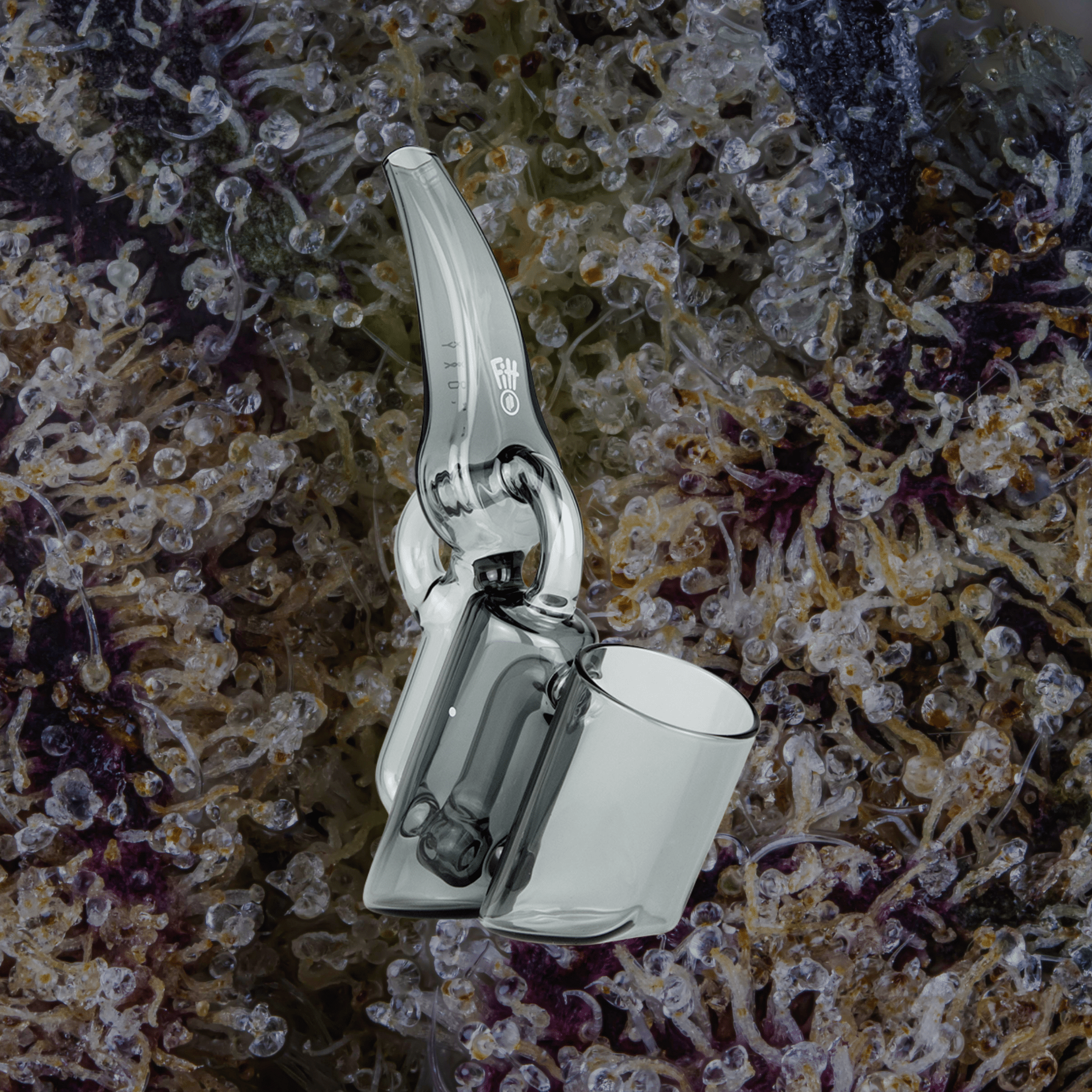 Puffco Proxy Ryan Fitt Recycler Glass | Trichly